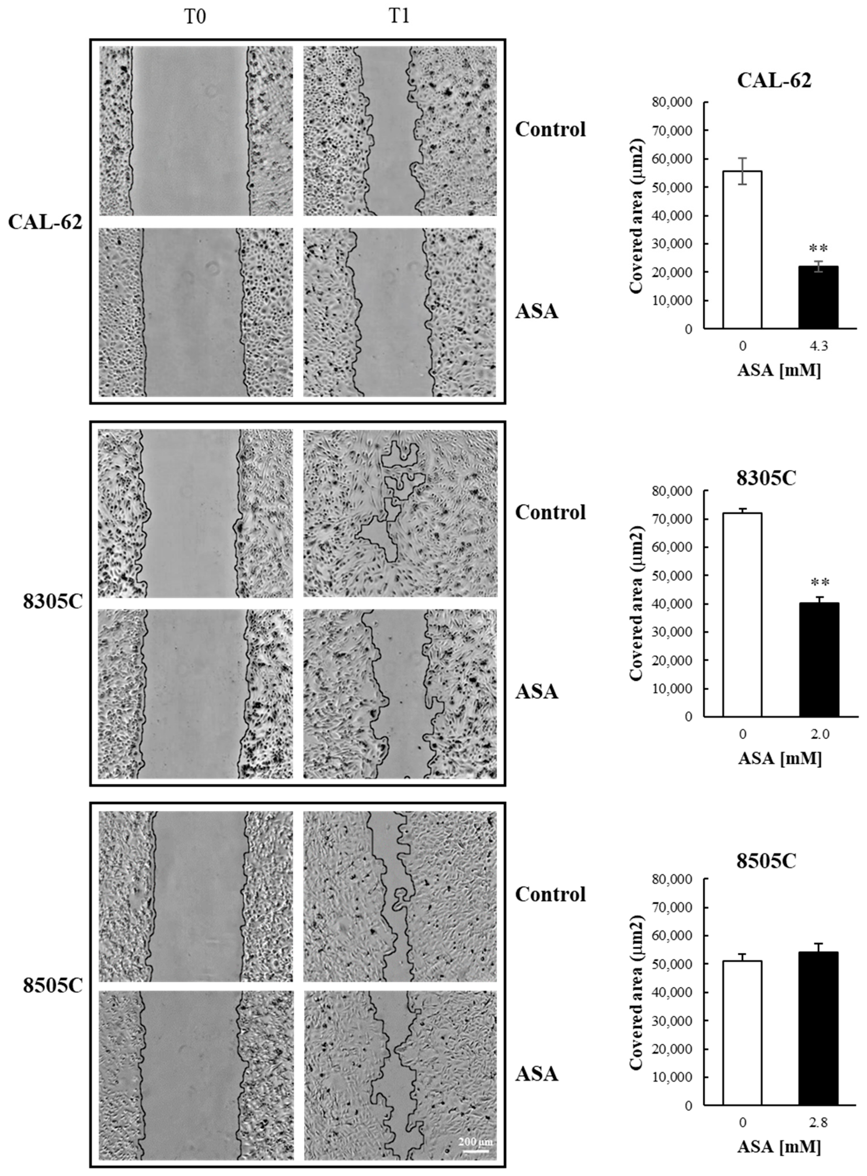 Cancers 16 04203 g005 Cancers 16 04203 g005
