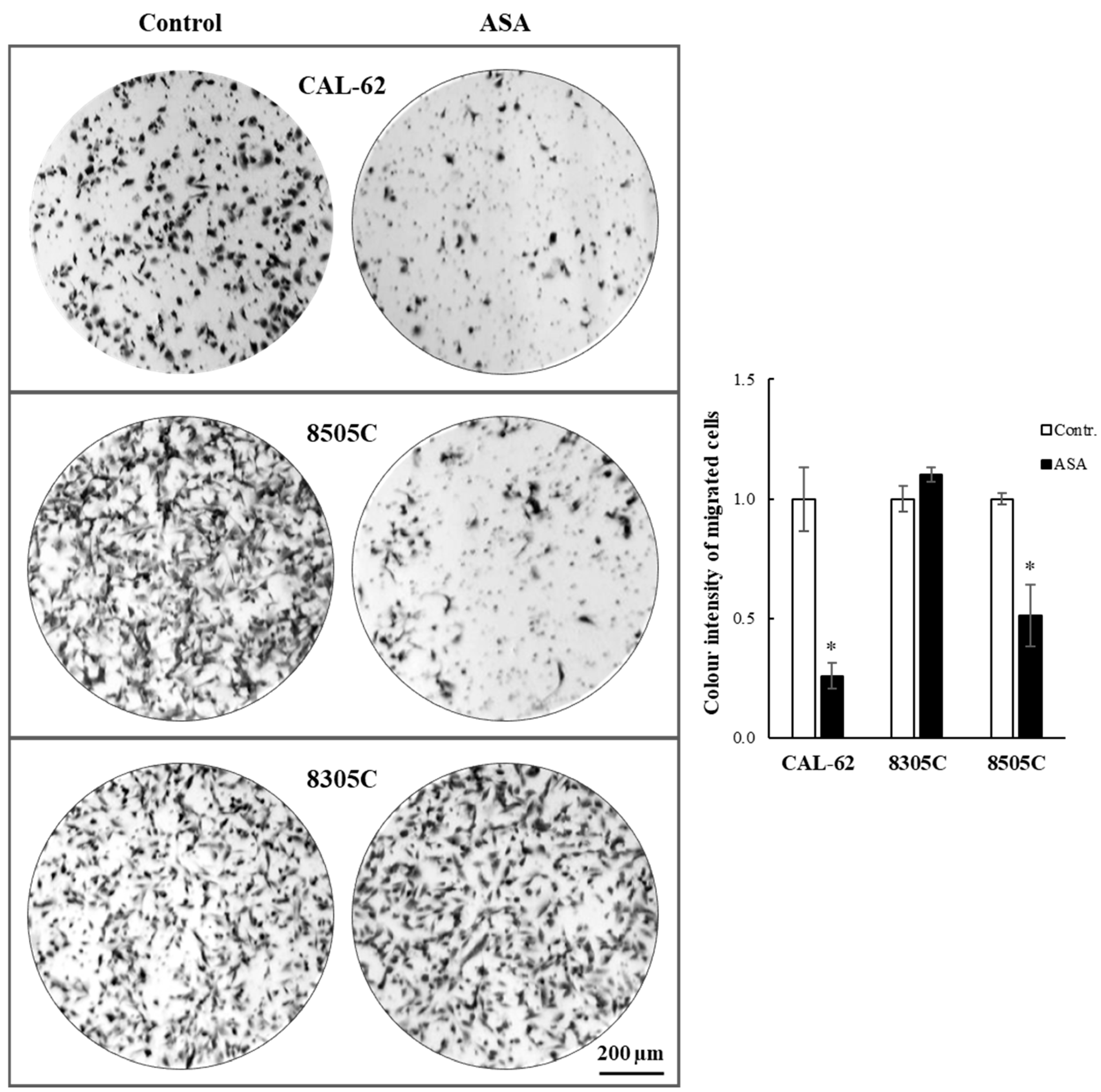 Cancers 16 04203 g006 Cancers 16 04203 g006