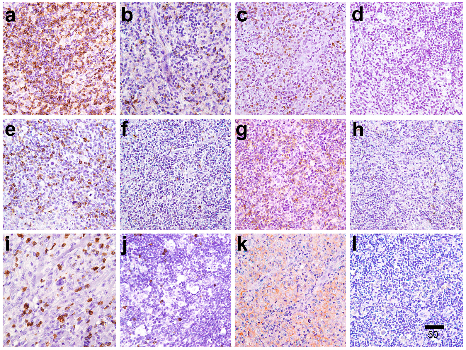 Cancers 16 04210 g001