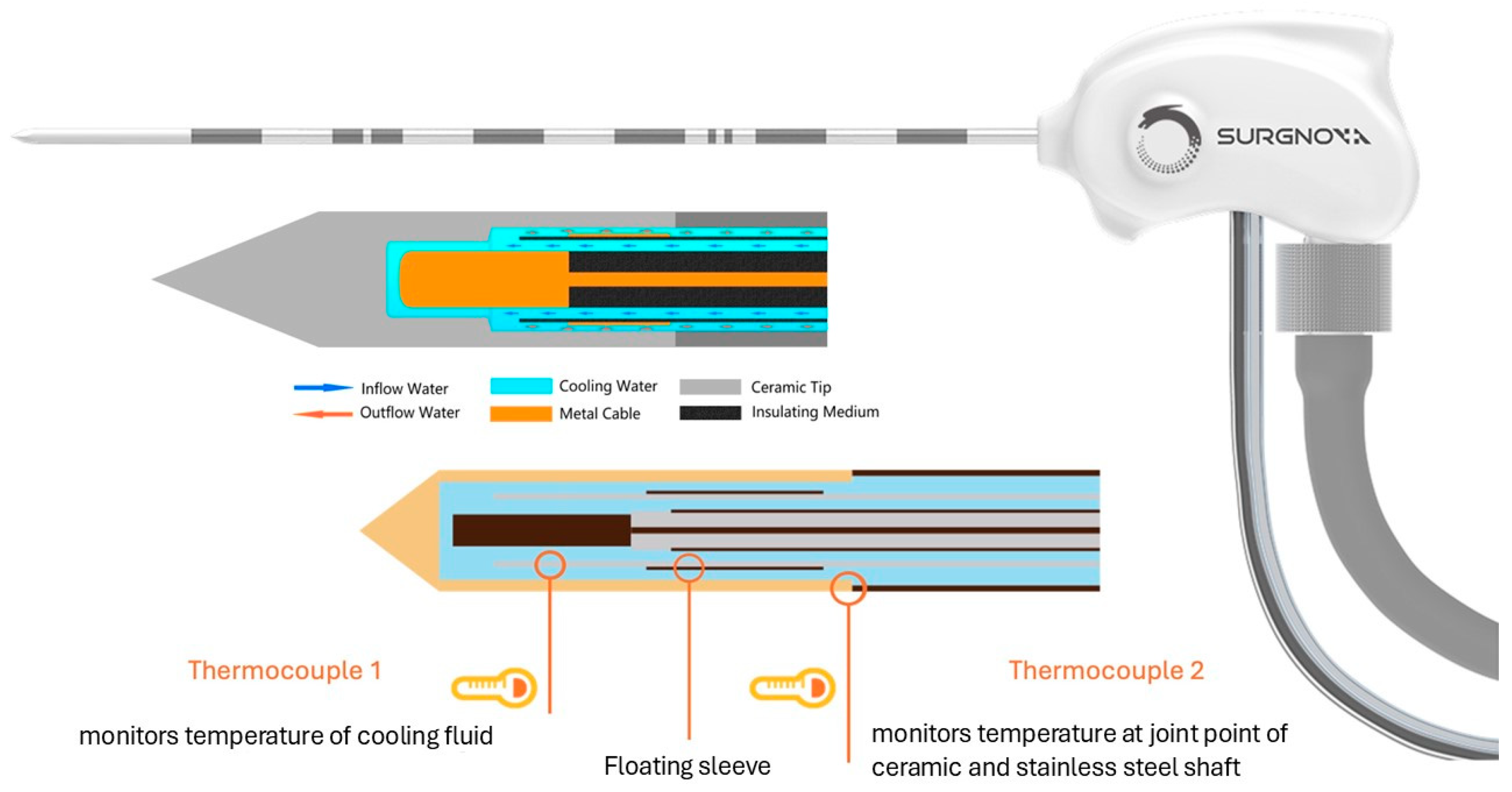 Cancers 16 04211 g001