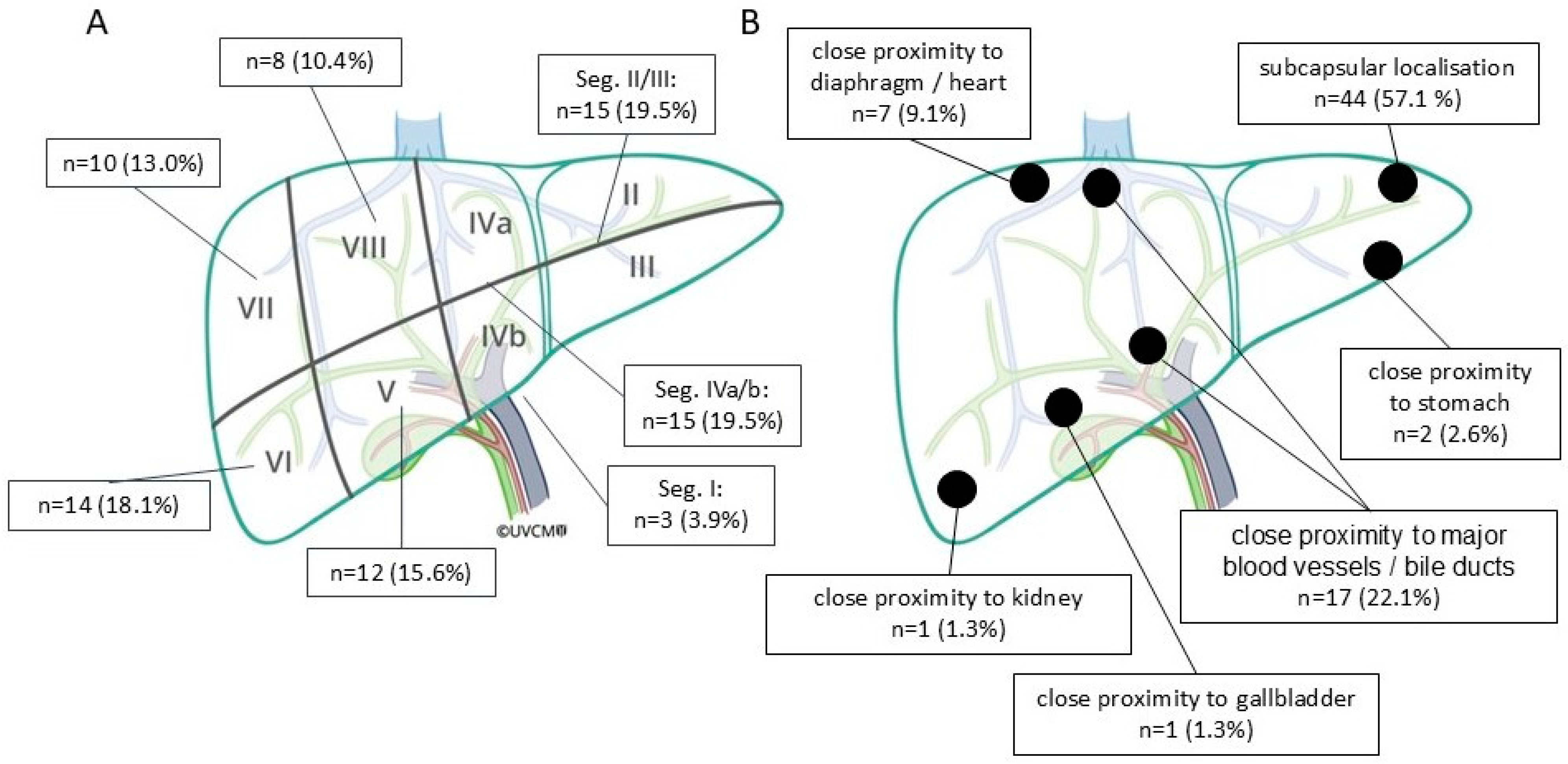 Cancers 16 04211 g003
