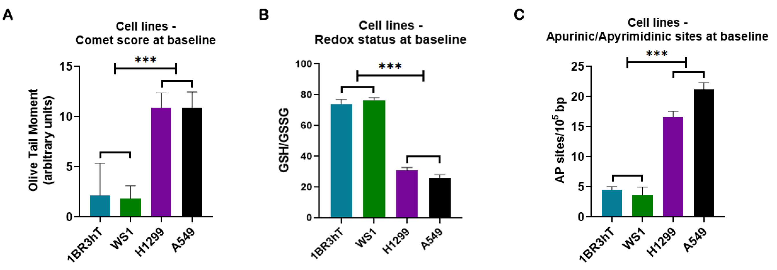 Cancers 16 04218 g001