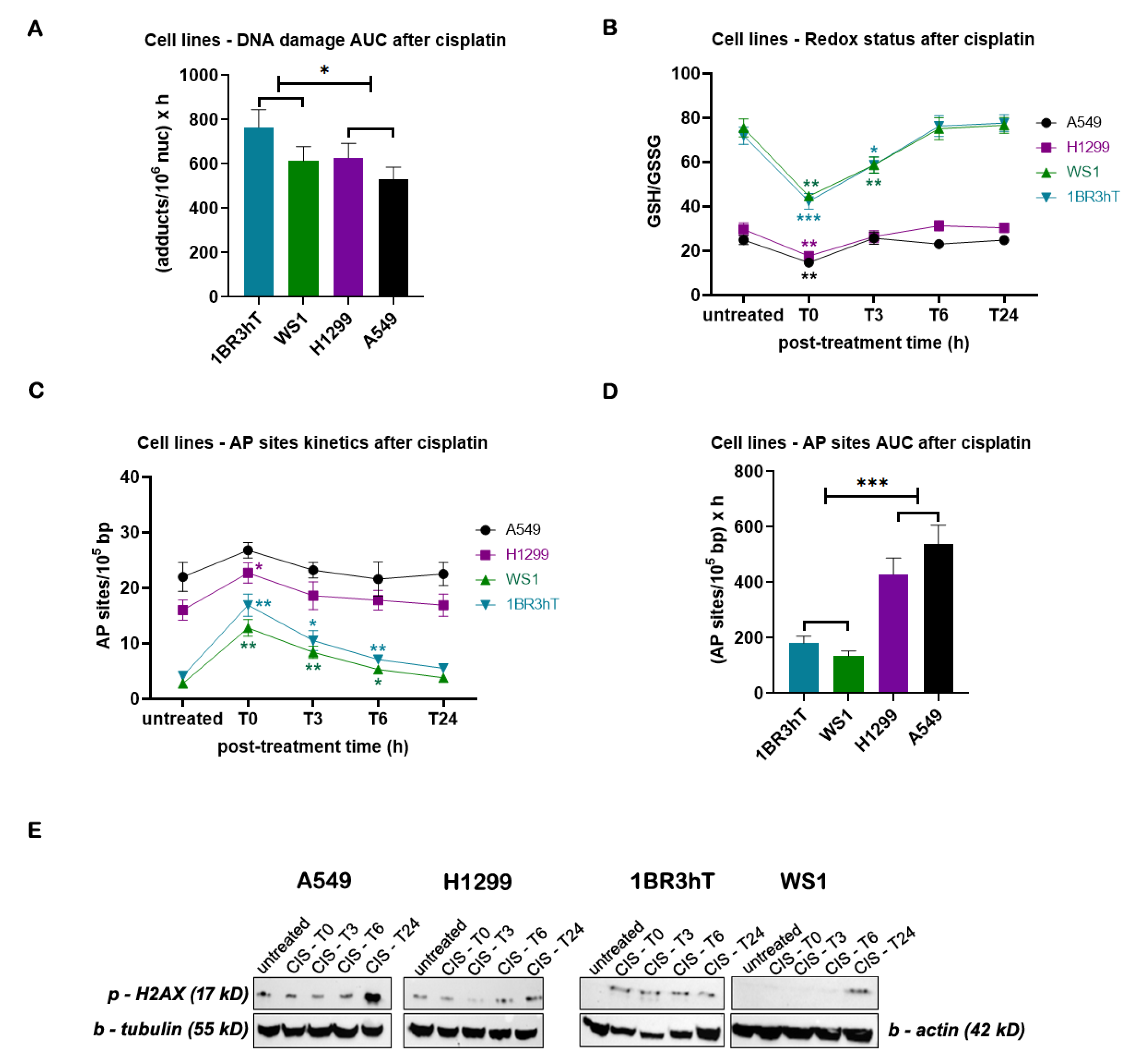 Cancers 16 04218 g003