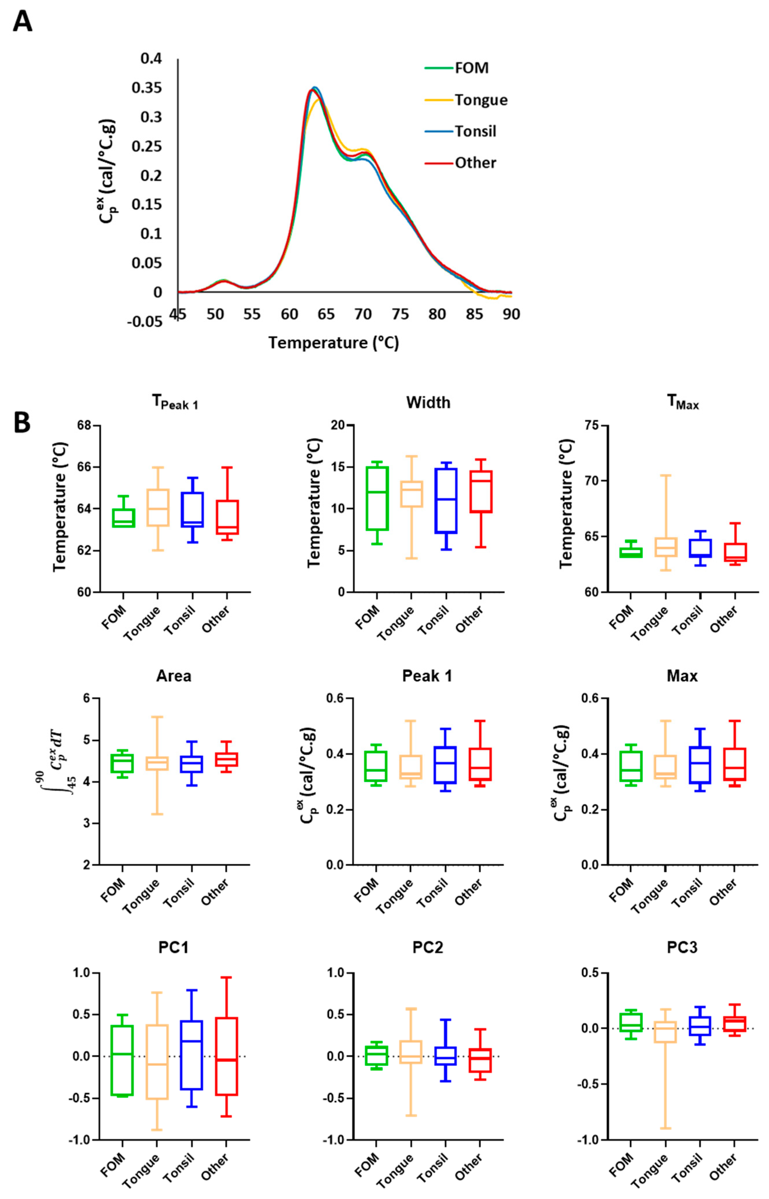 Cancers 16 04220 g007
