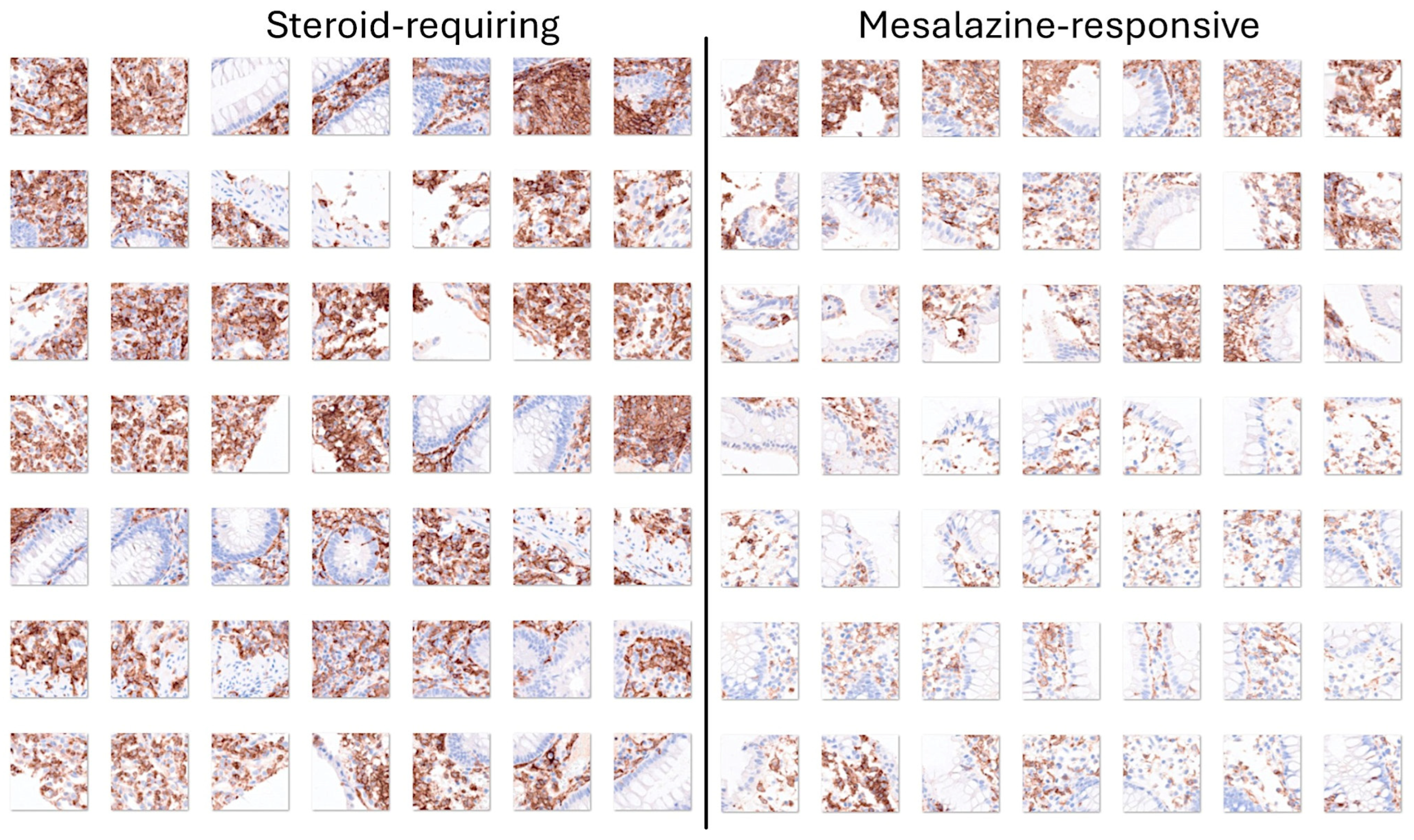 Cancers 16 04230 g013