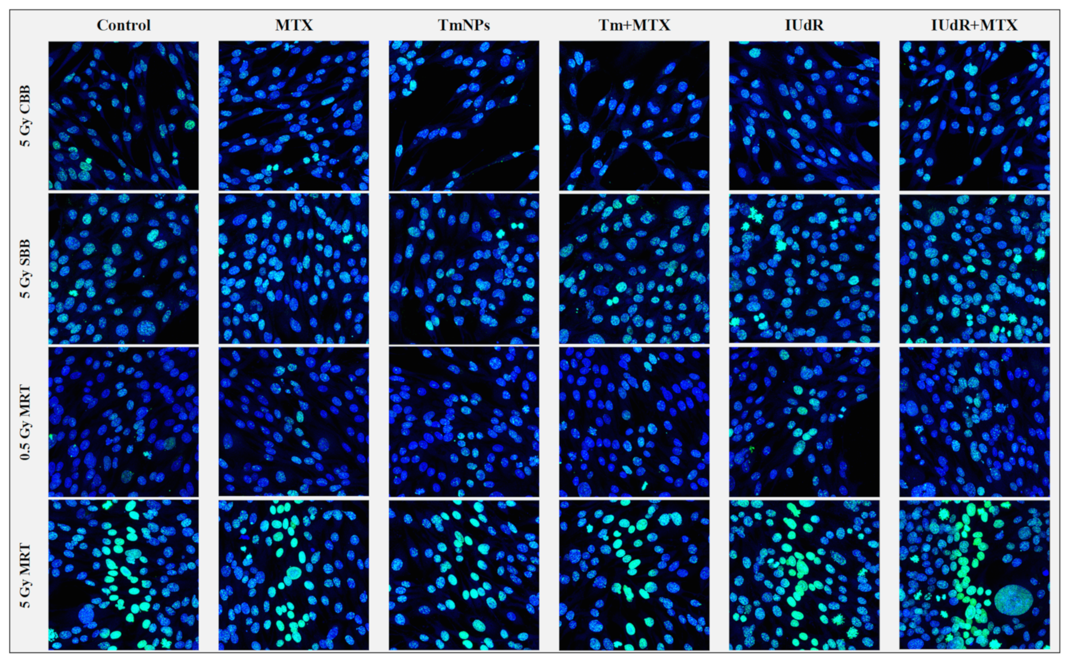 Cancers 16 04231 g0a1