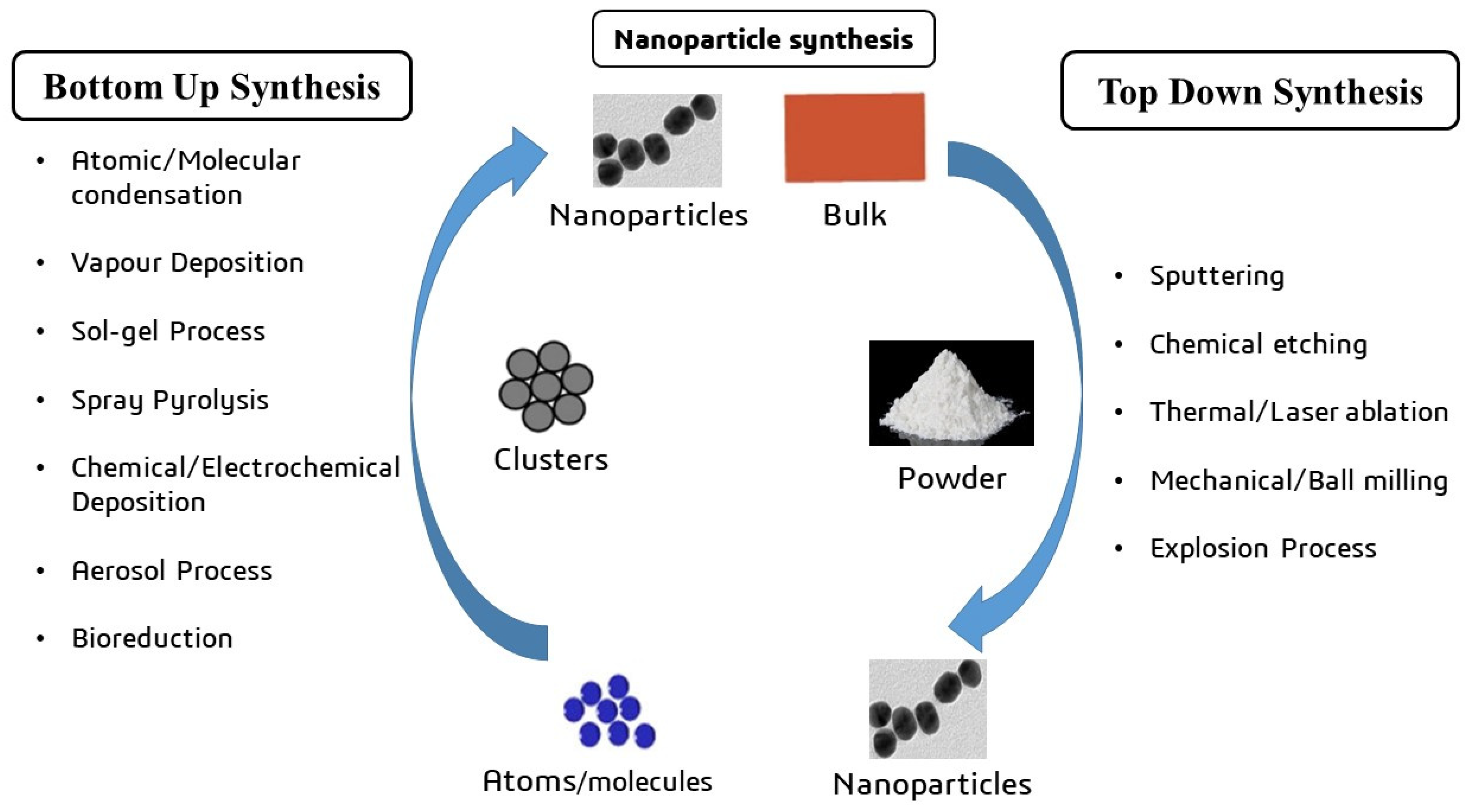 Cancers 16 04234 g003