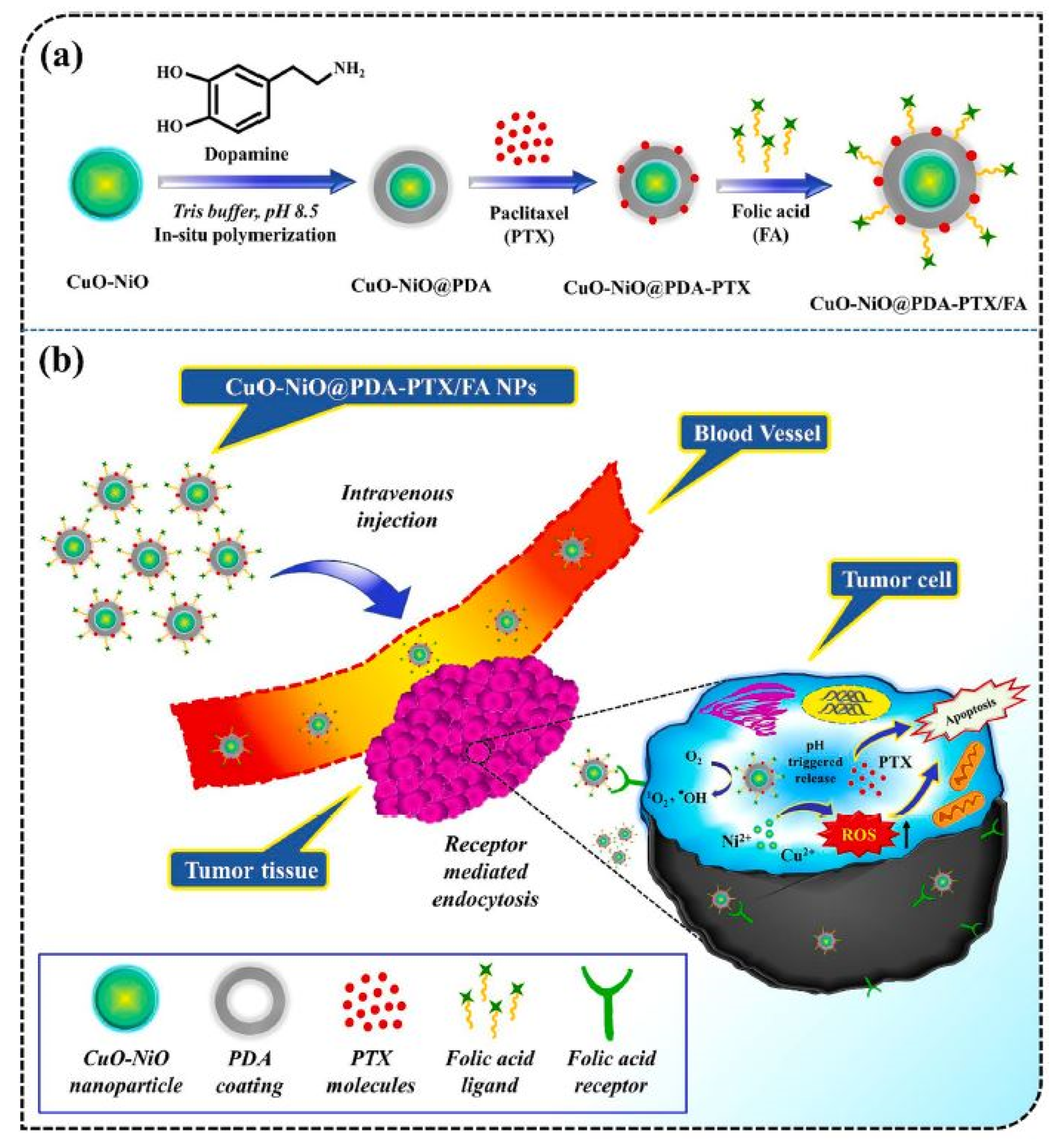 Cancers 16 04234 g008