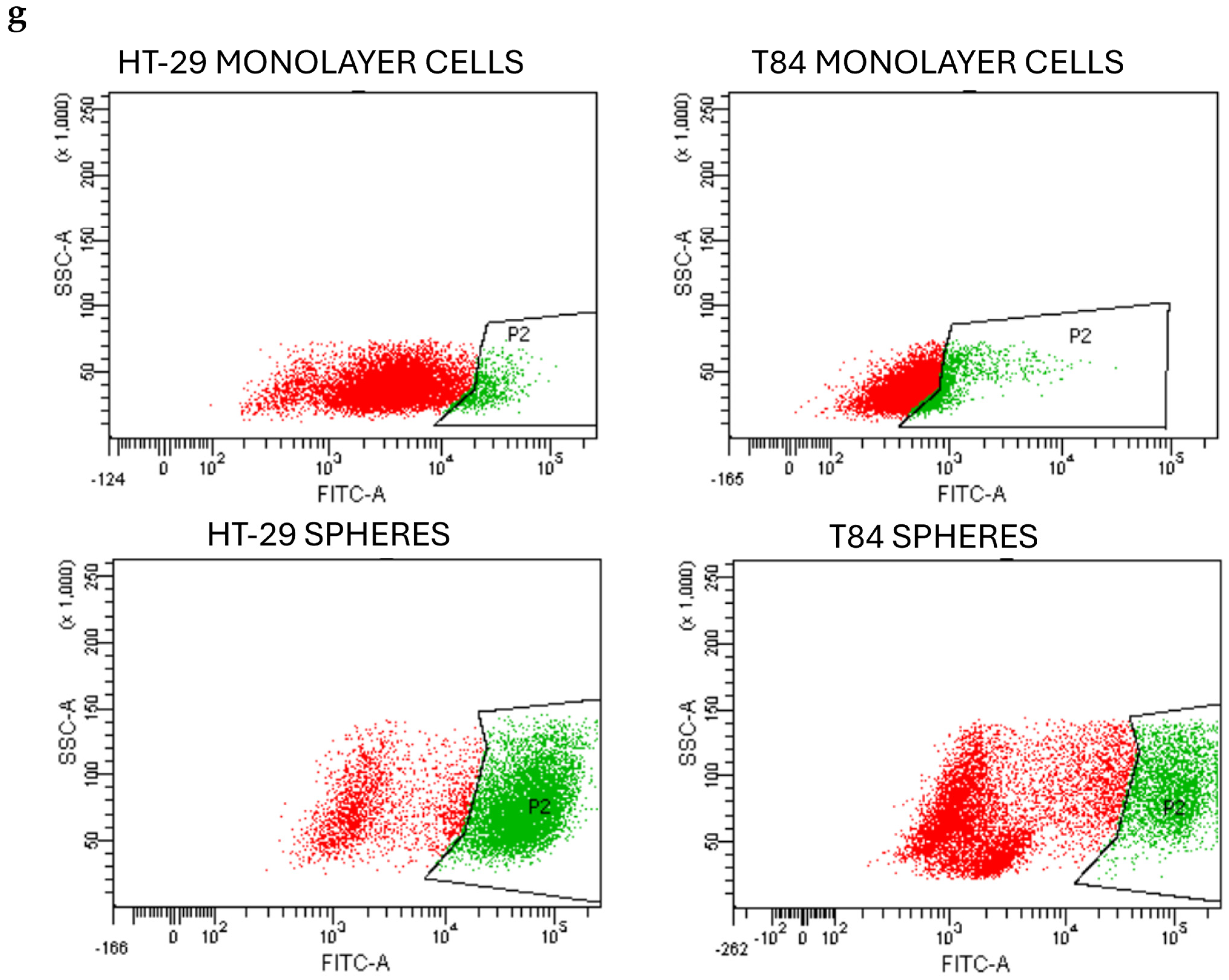 Cancers 16 04237 g001b