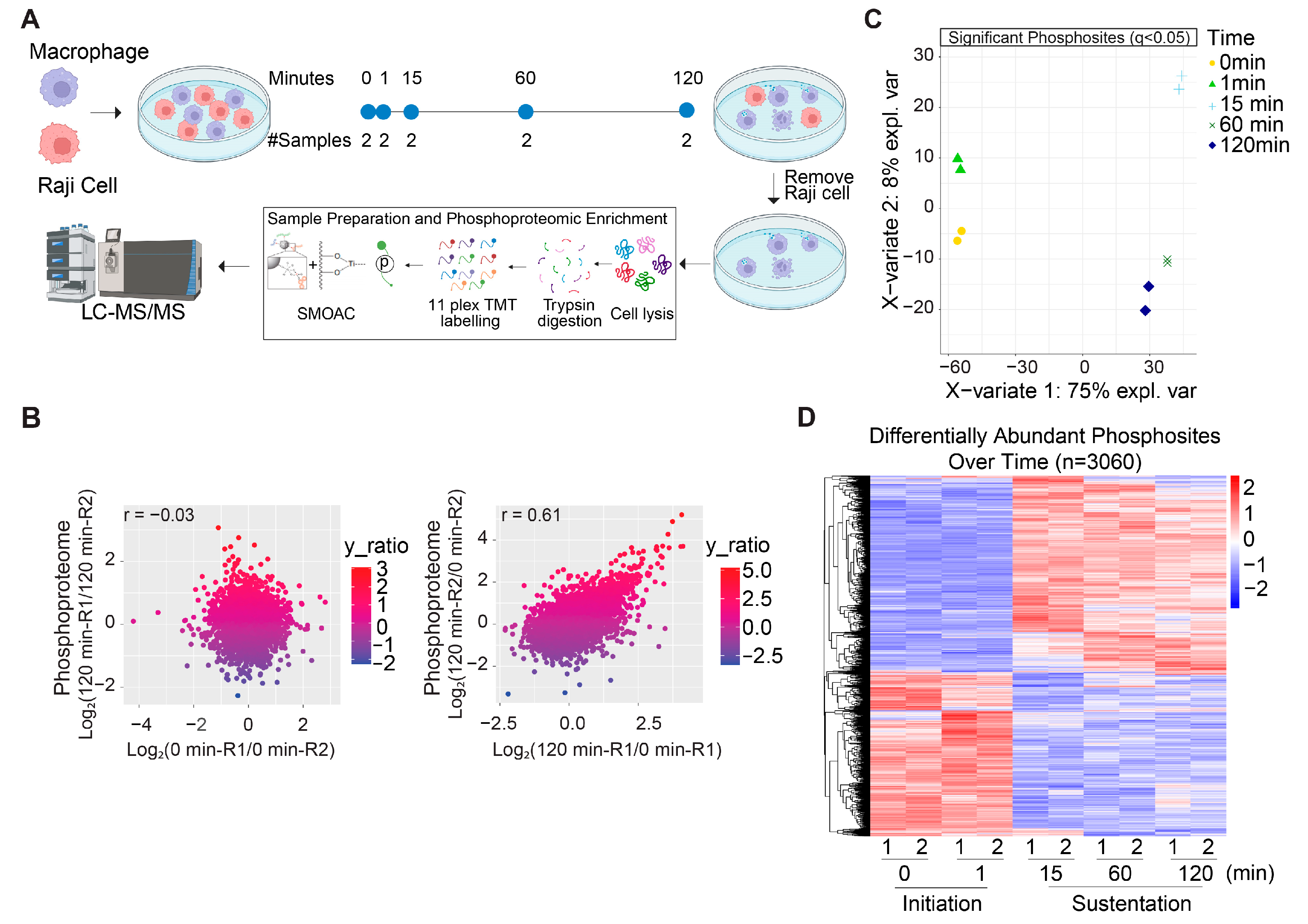 Cancers 16 04238 g001 Cancers 16 04238 g001