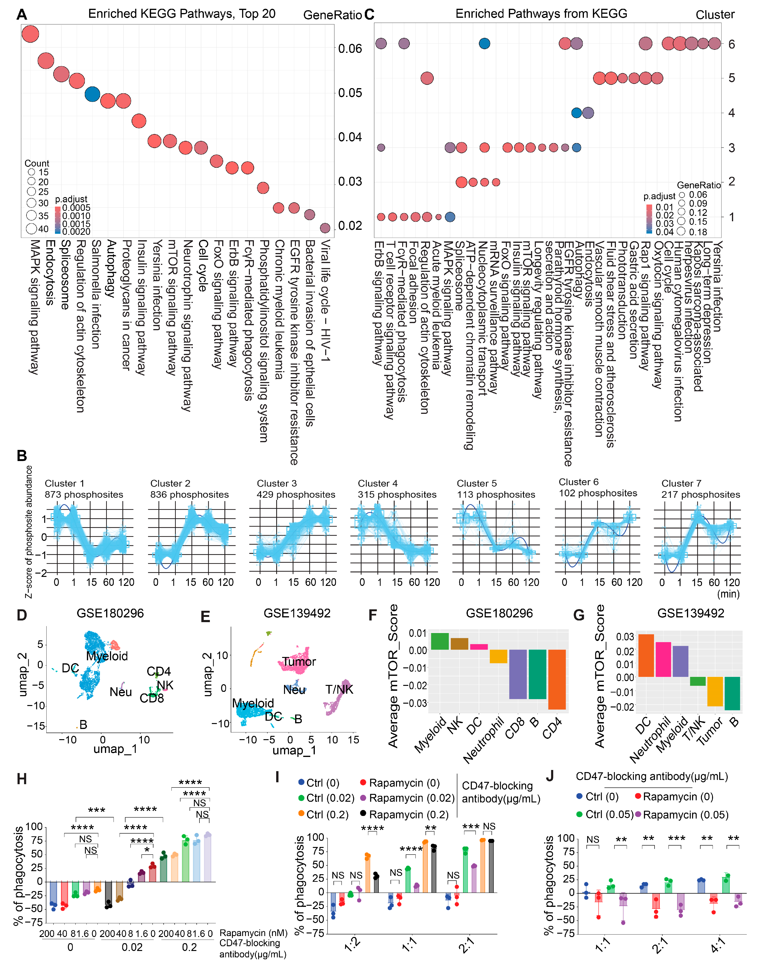 Cancers 16 04238 g002 Cancers 16 04238 g002