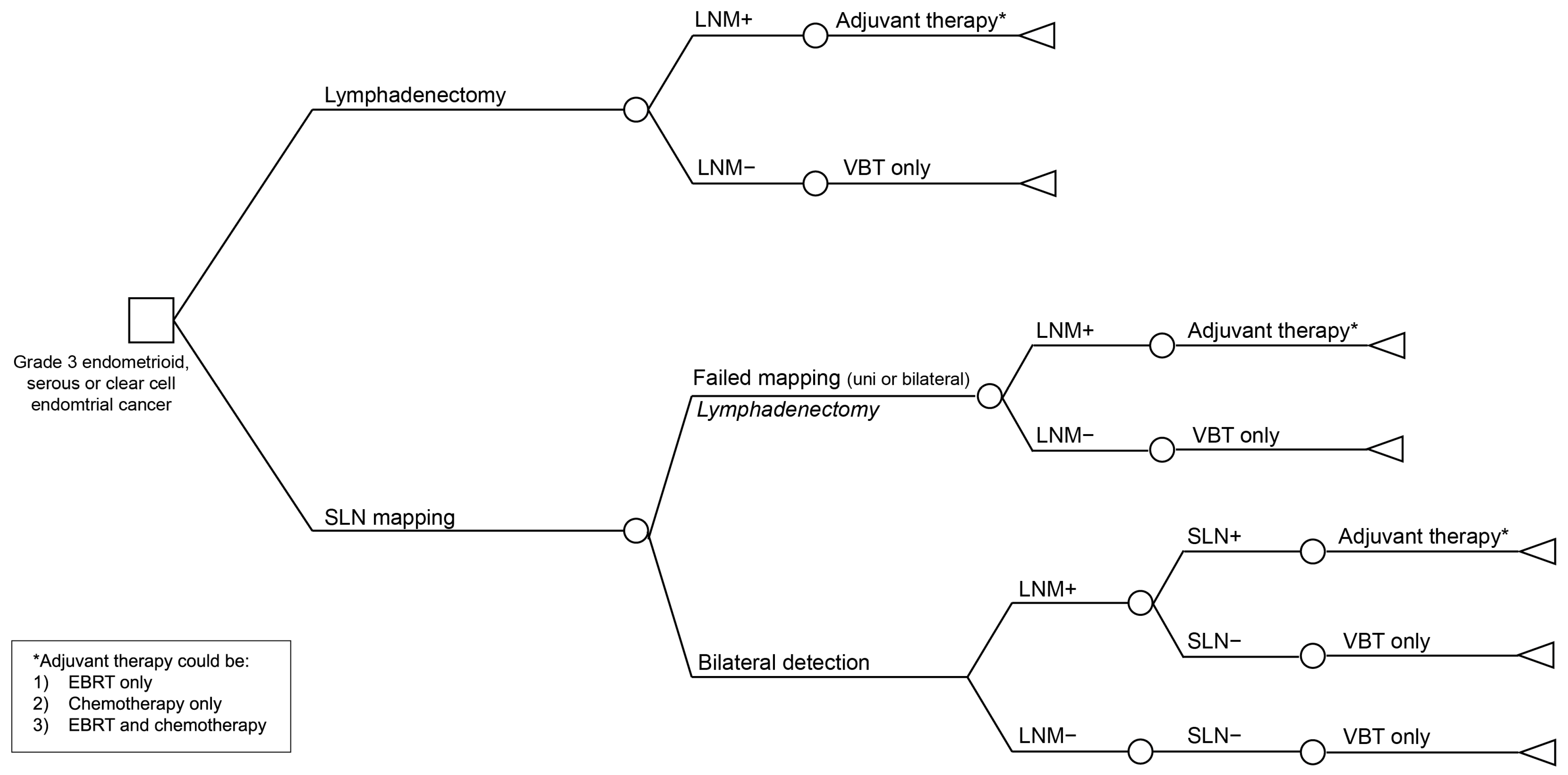 Cancers 16 04240 g001
