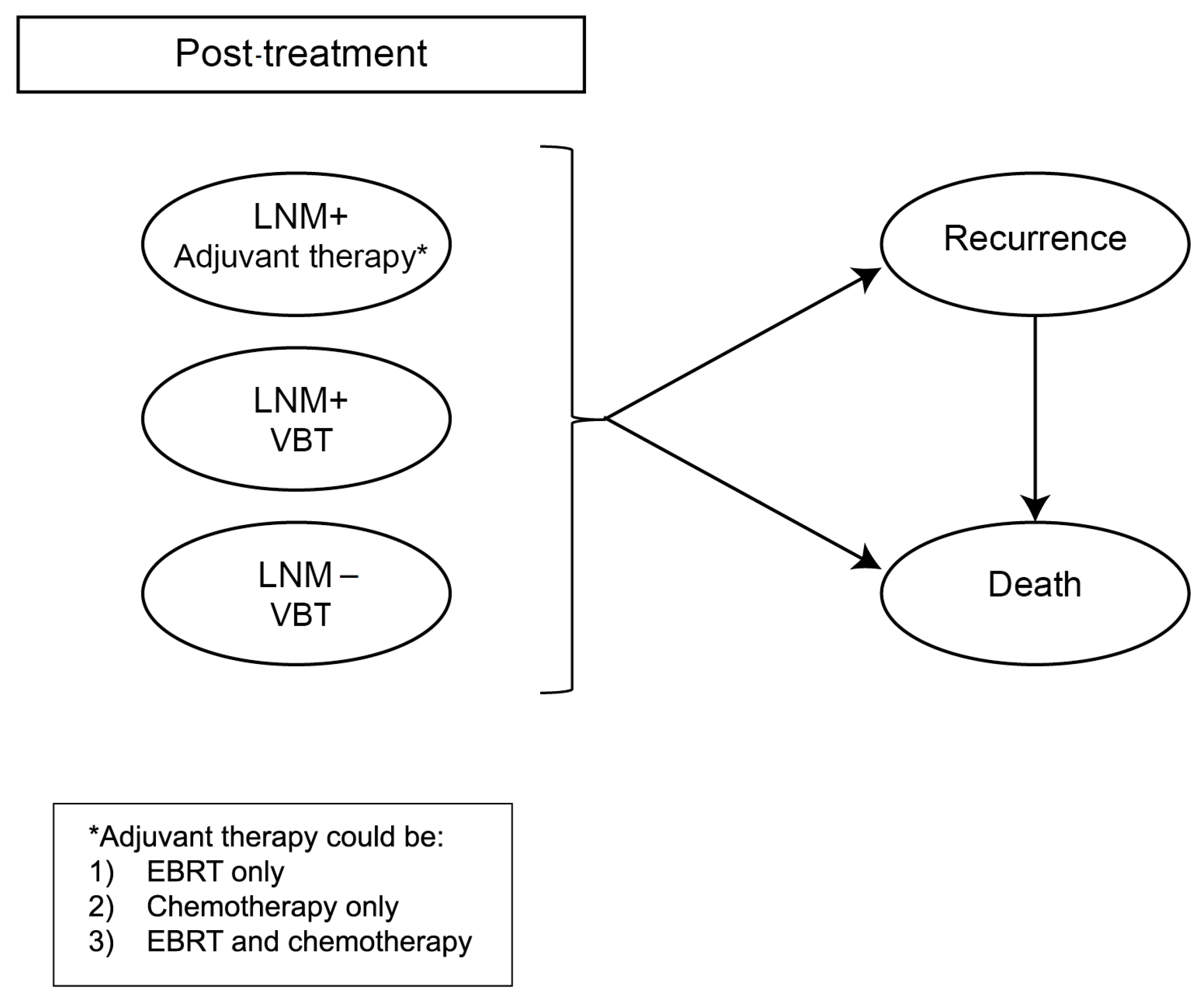 Cancers 16 04240 g002