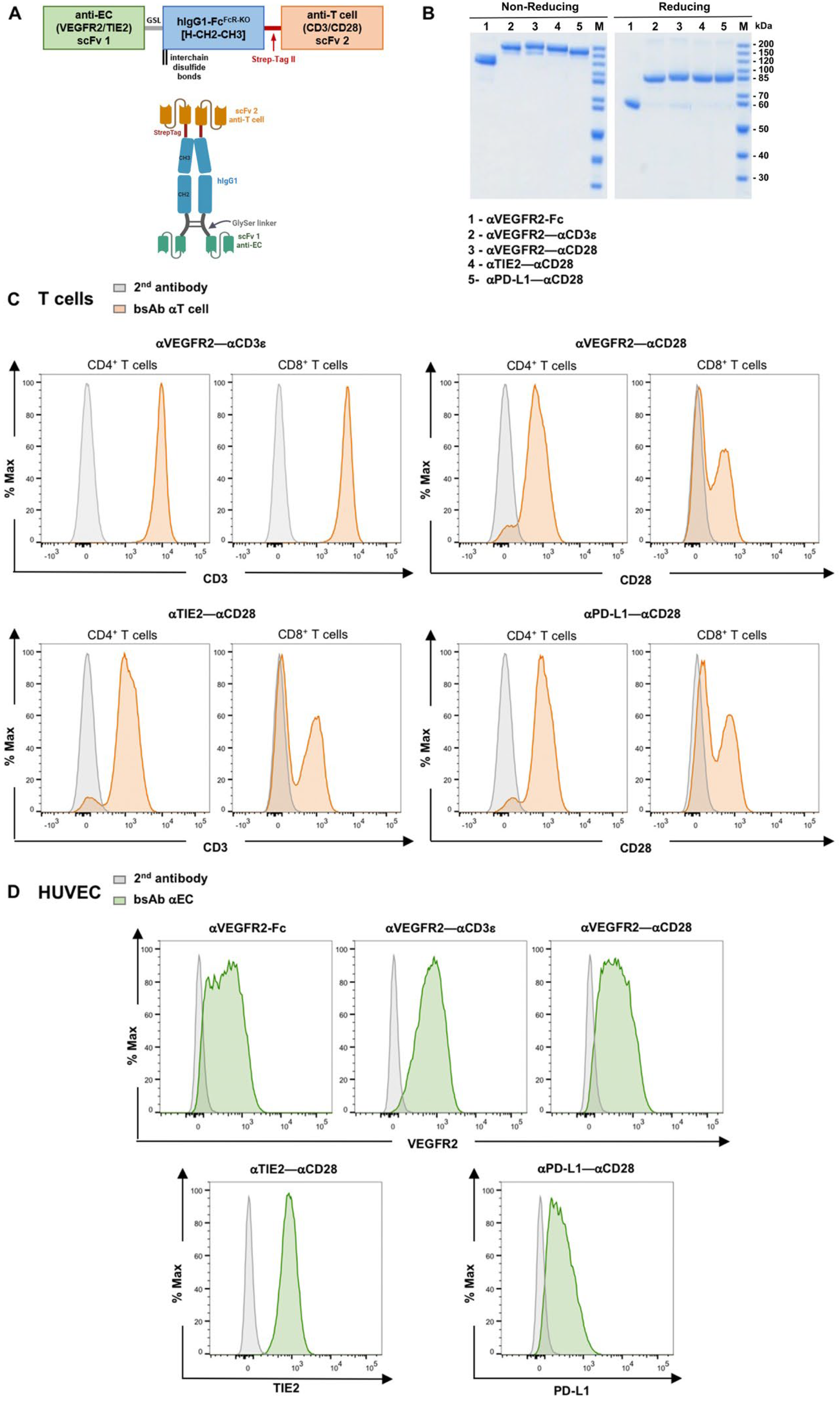 Cancers 16 04251 g001