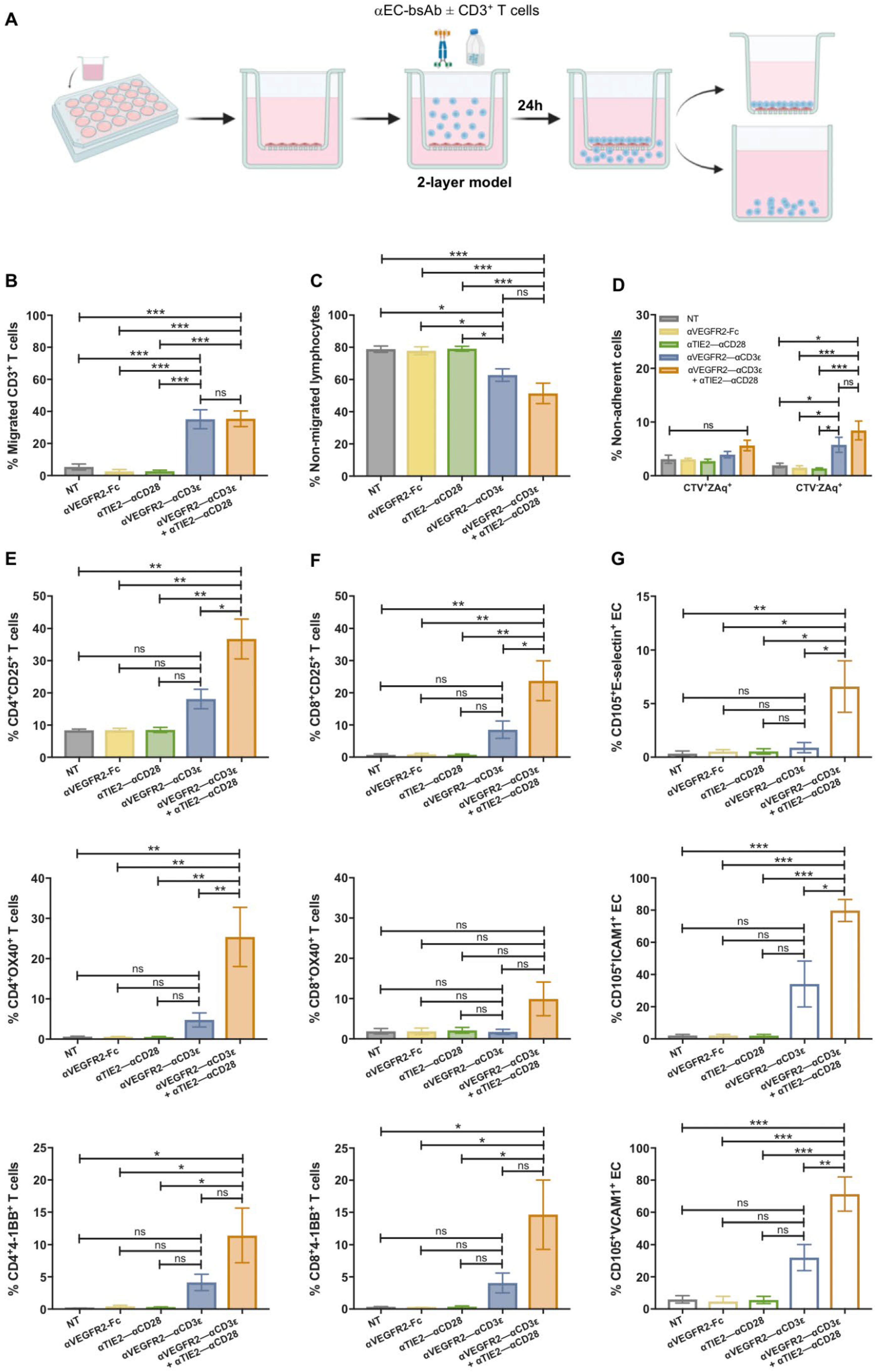 Cancers 16 04251 g005