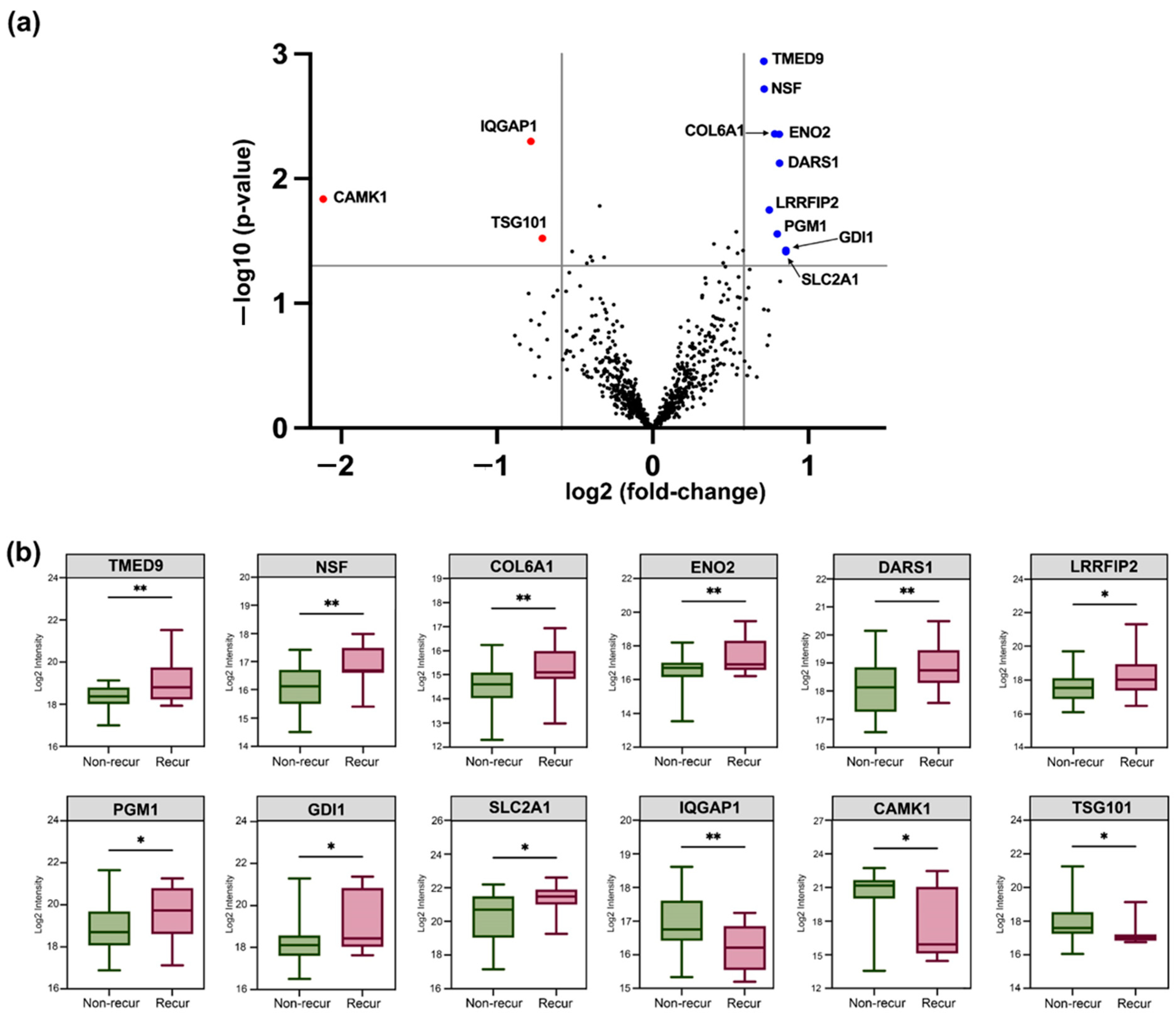 Cancers 16 04259 g004