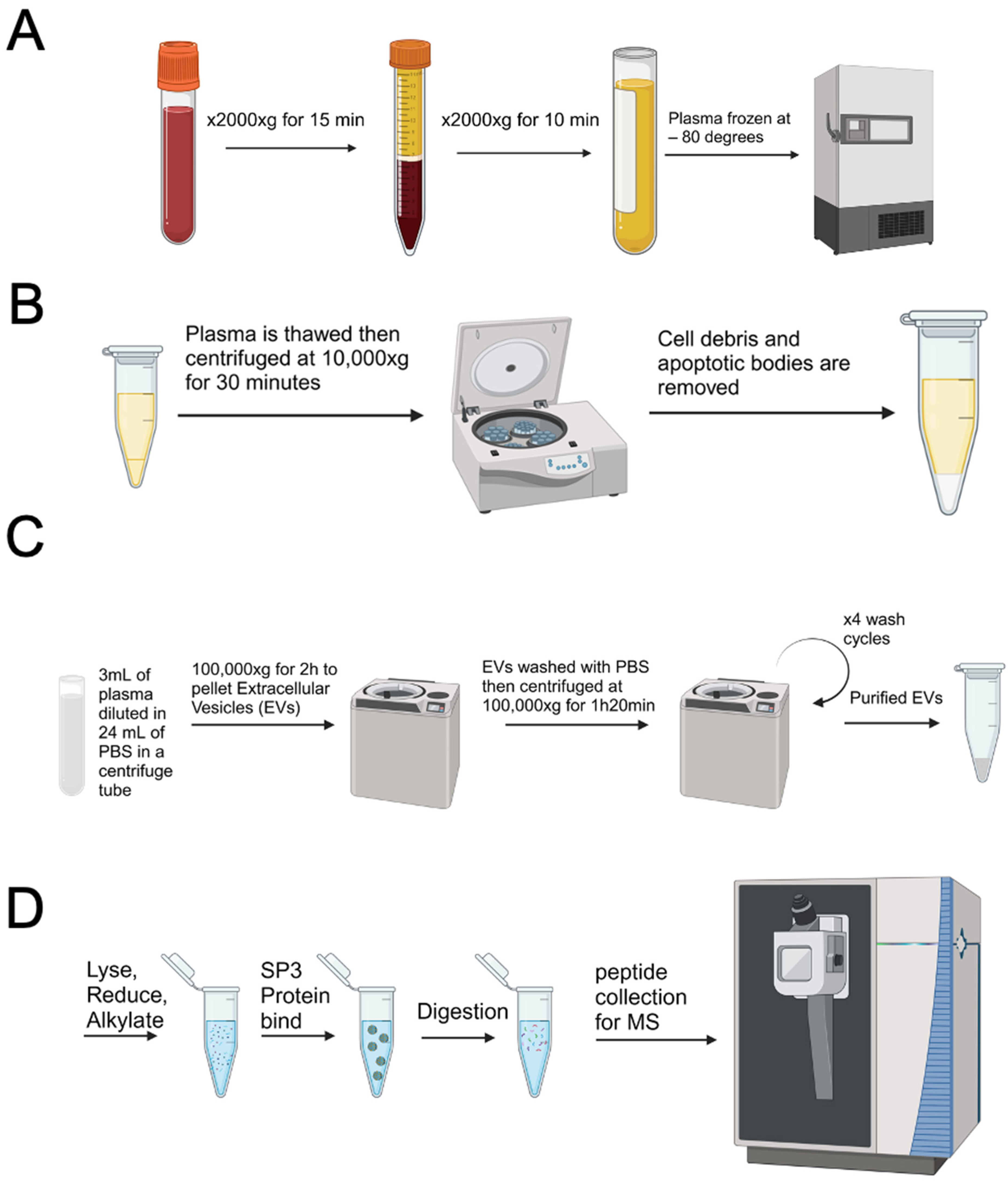 Cancers 16 04261 g001