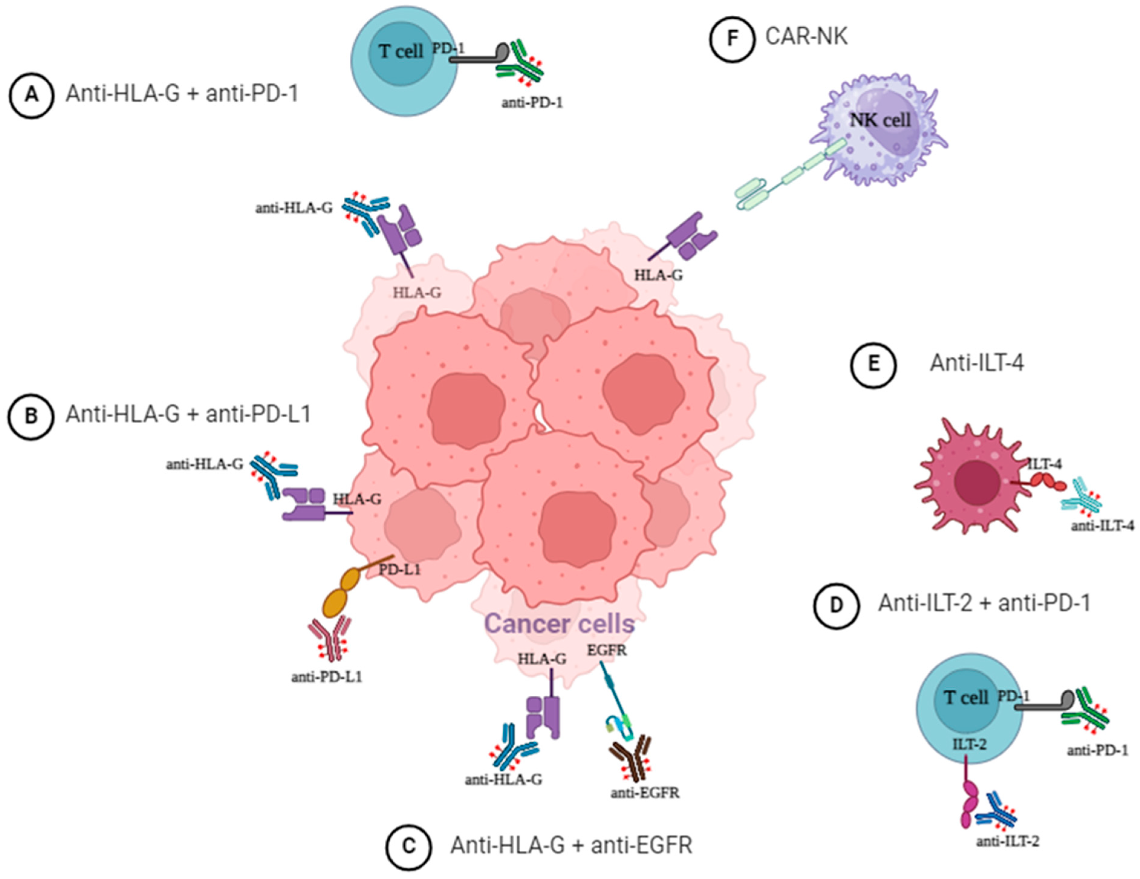 Cancers 16 04266 g006