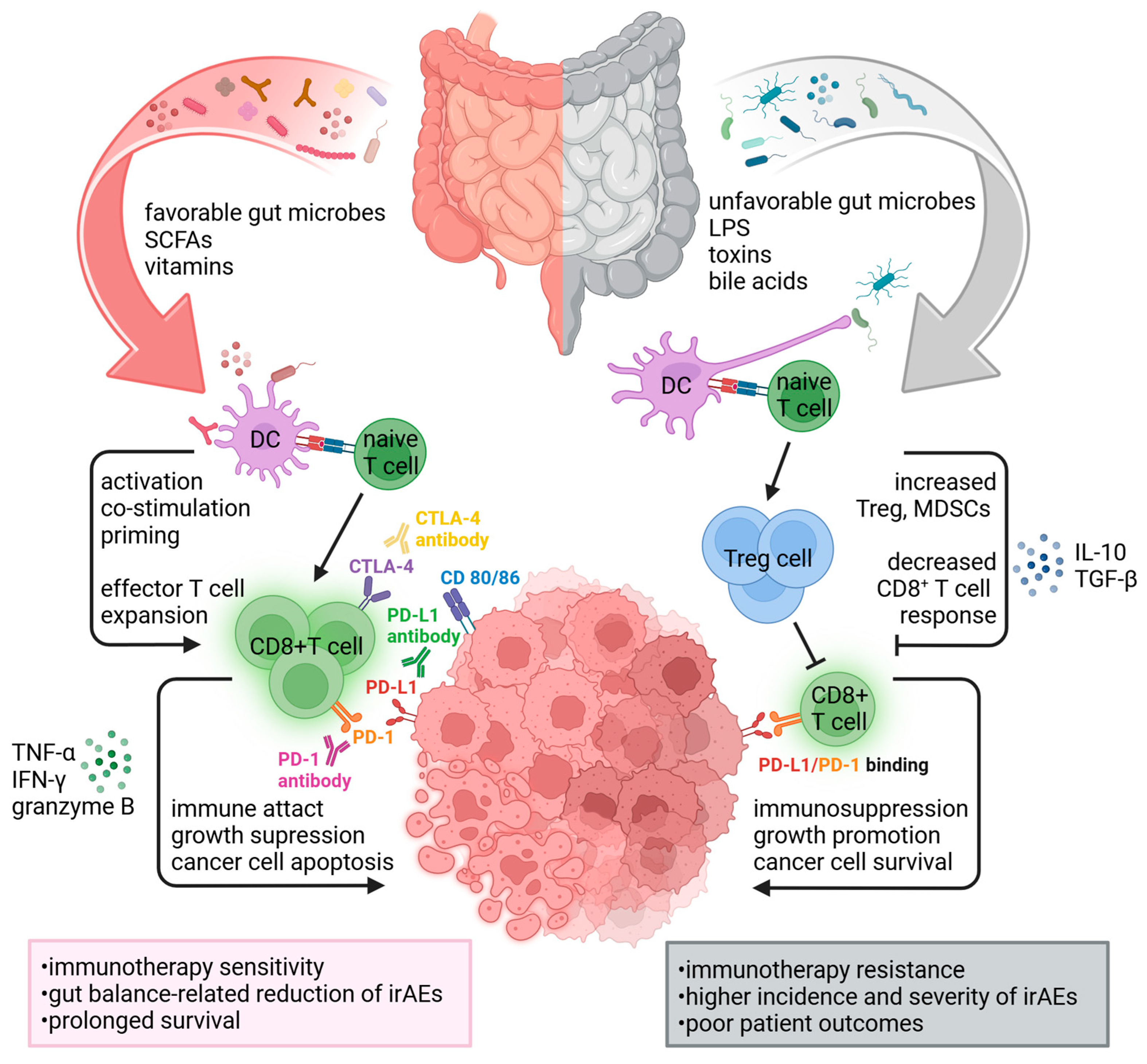 Cancers 16 04271 g001