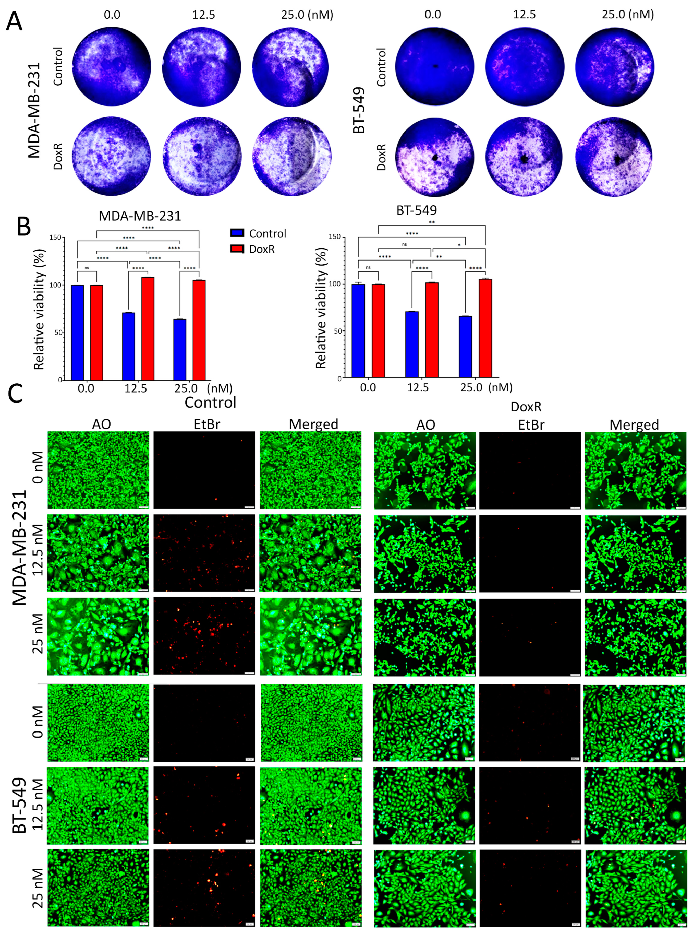 Cancers 16 04273 g001