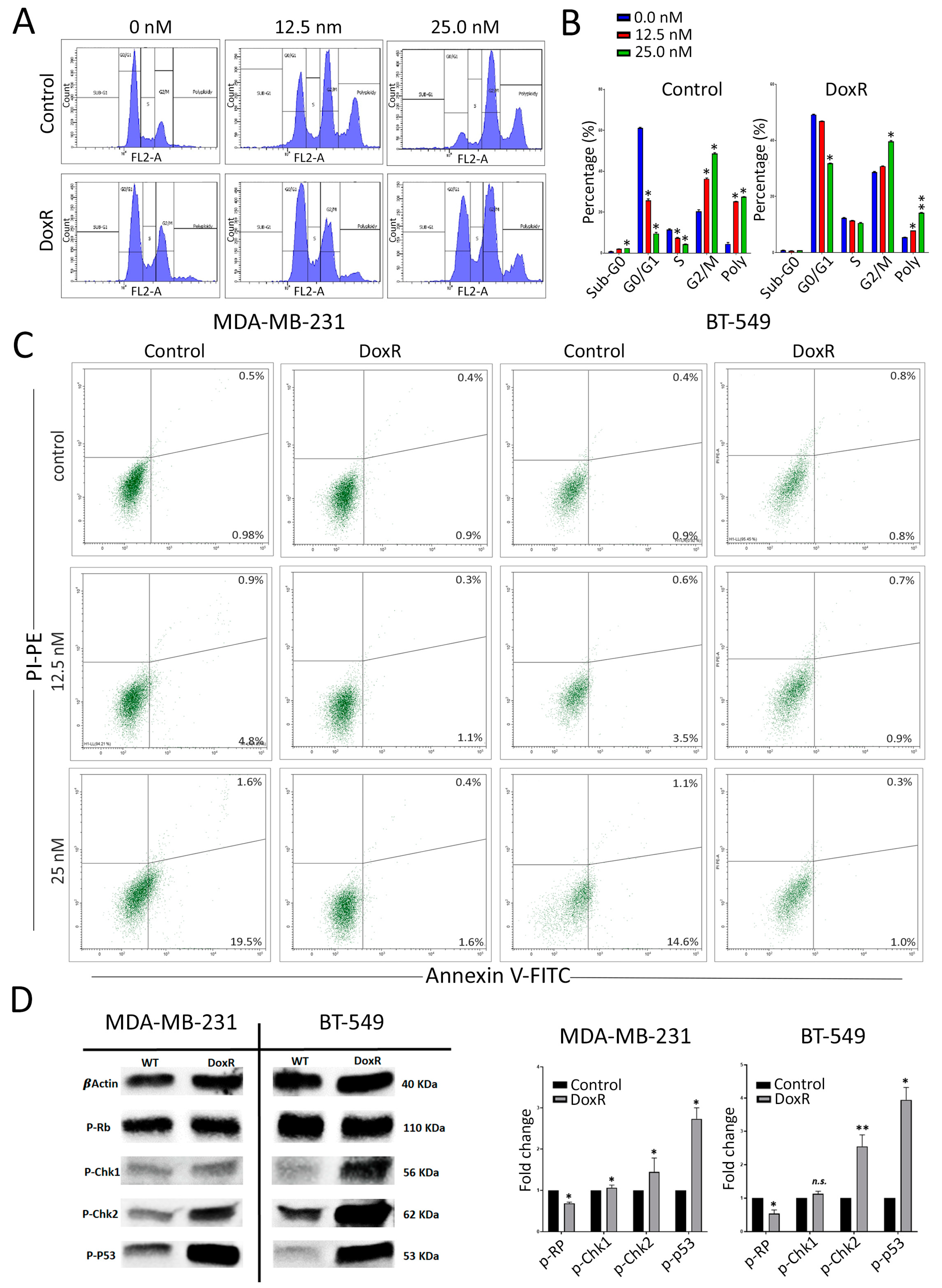 Cancers 16 04273 g003