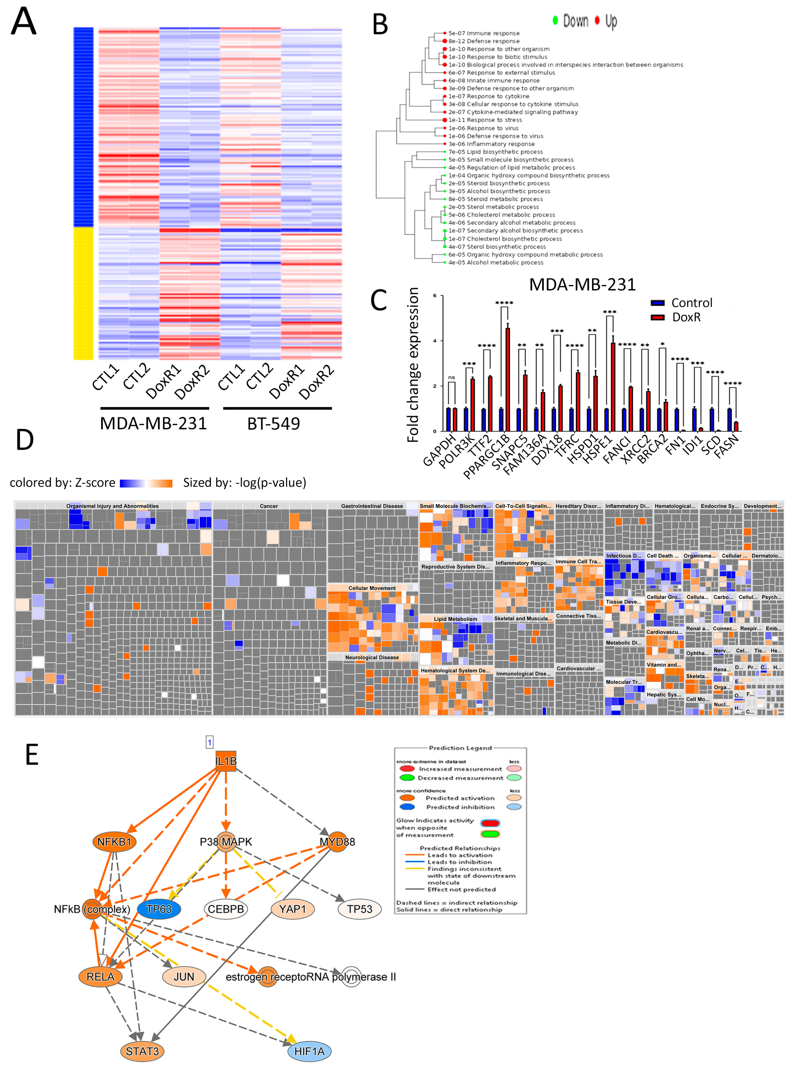 Cancers 16 04273 g004