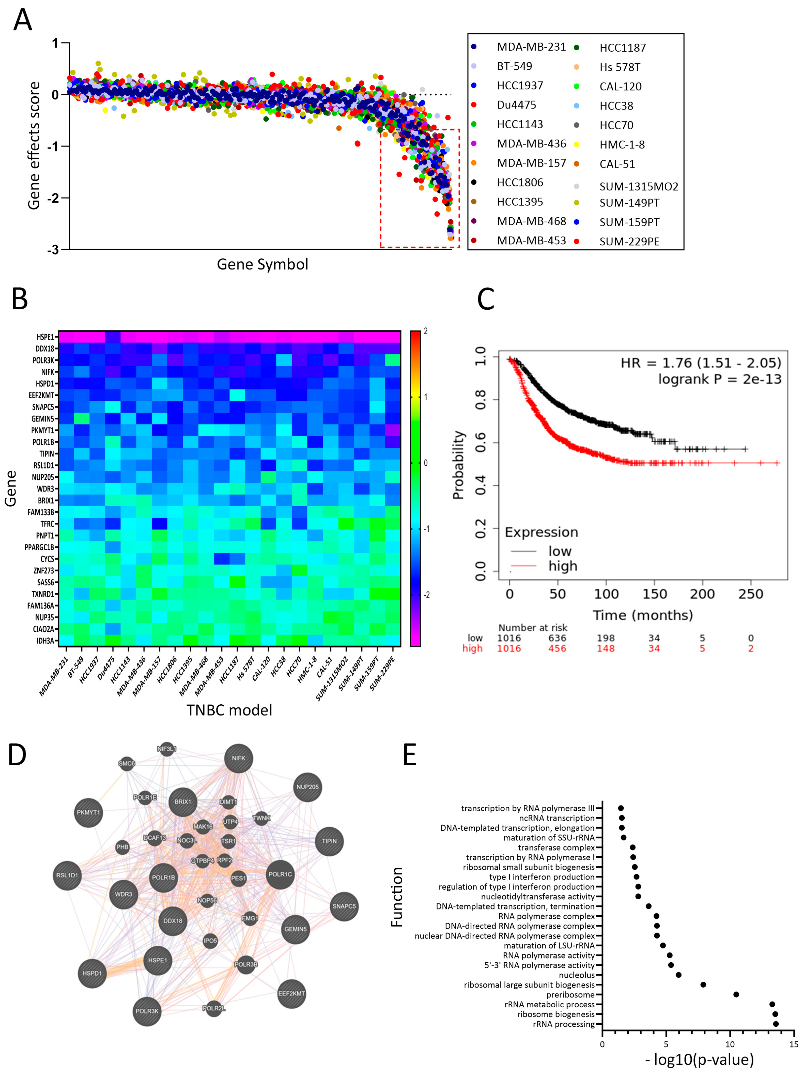 Cancers 16 04273 g005