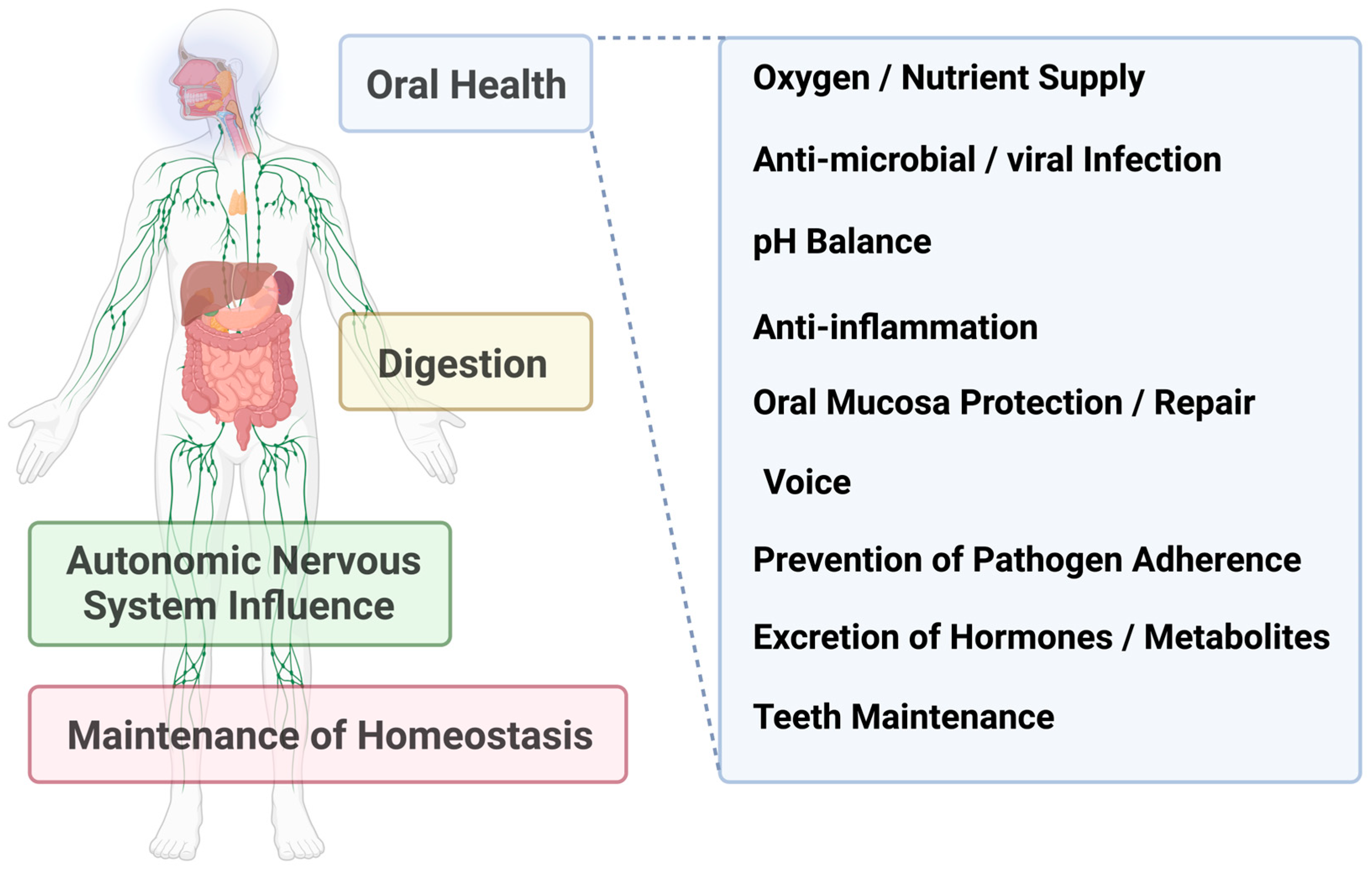 Cancers 16 04276 g001 Cancers 16 04276 g001