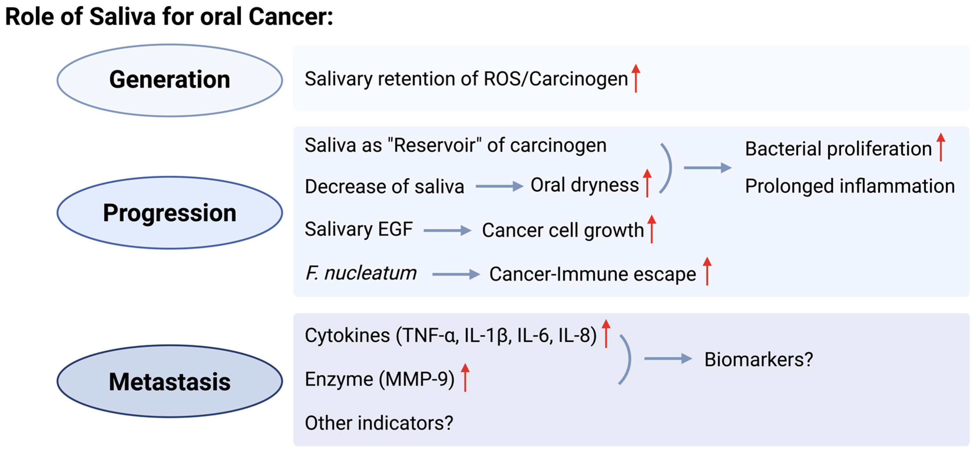 Cancers 16 04276 g002 Cancers 16 04276 g002