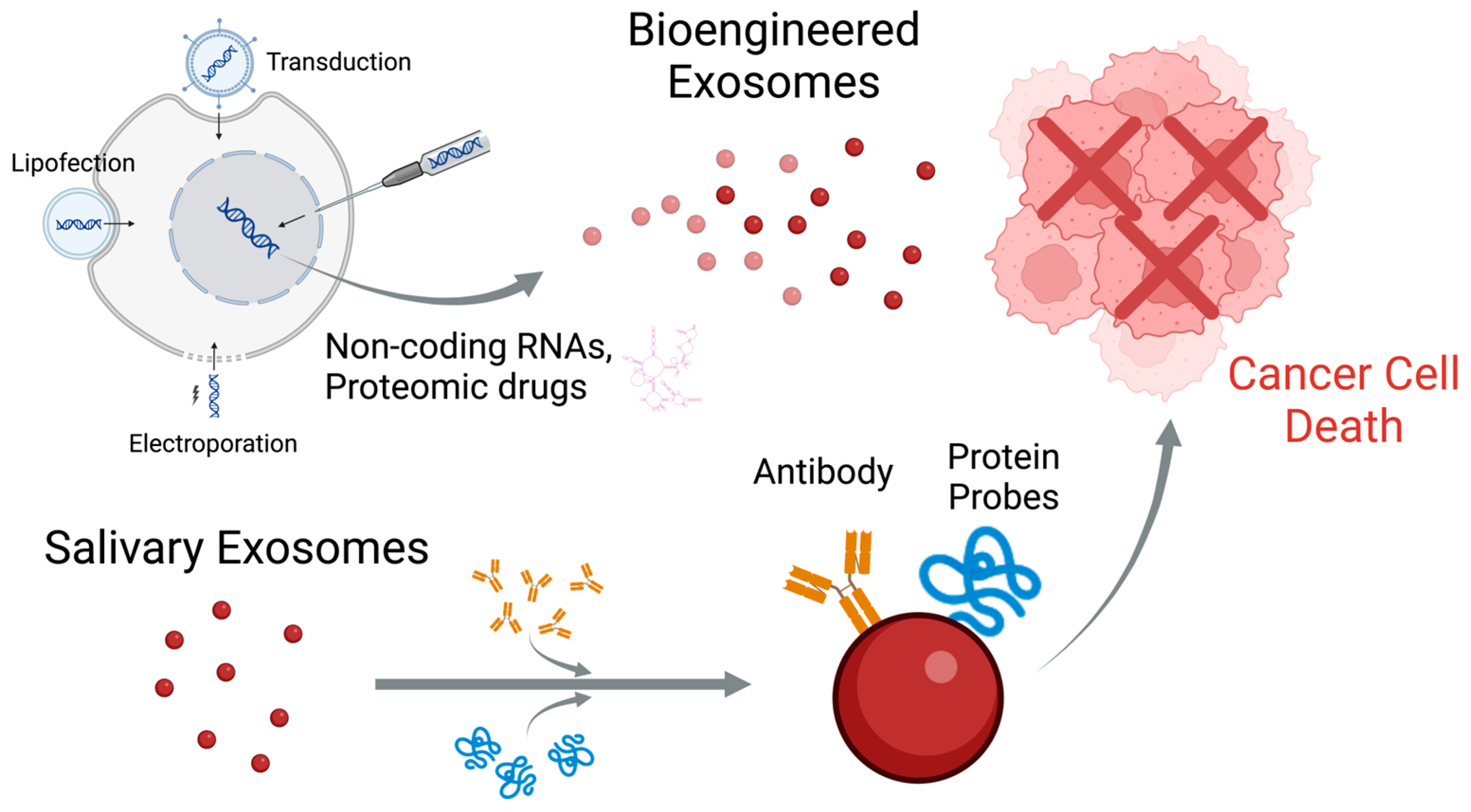 Cancers 16 04276 g003 Cancers 16 04276 g003