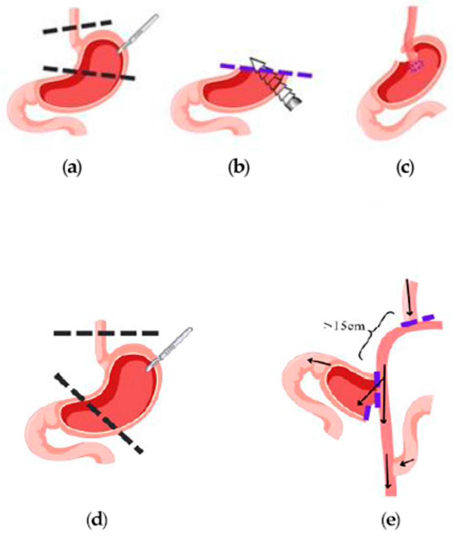 Cancers 16 04282 g001