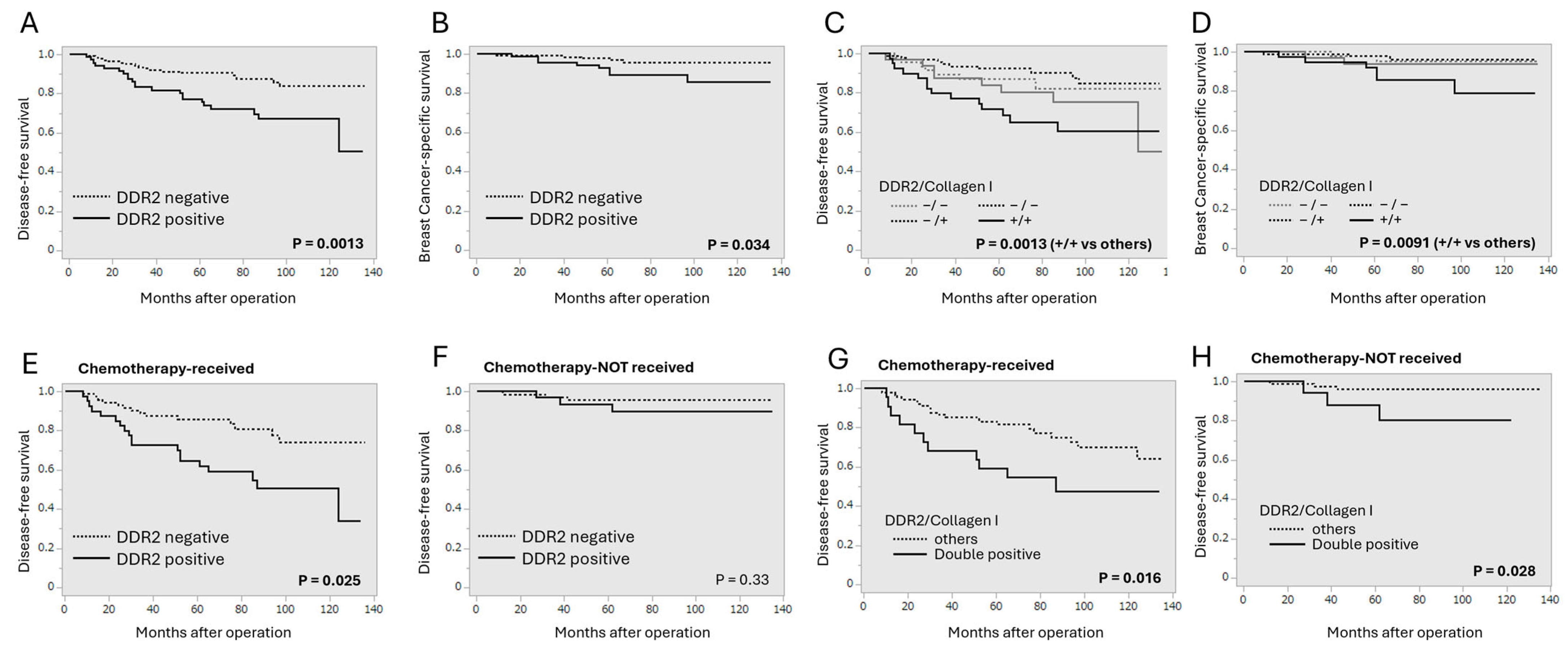 Cancers 16 04285 g002