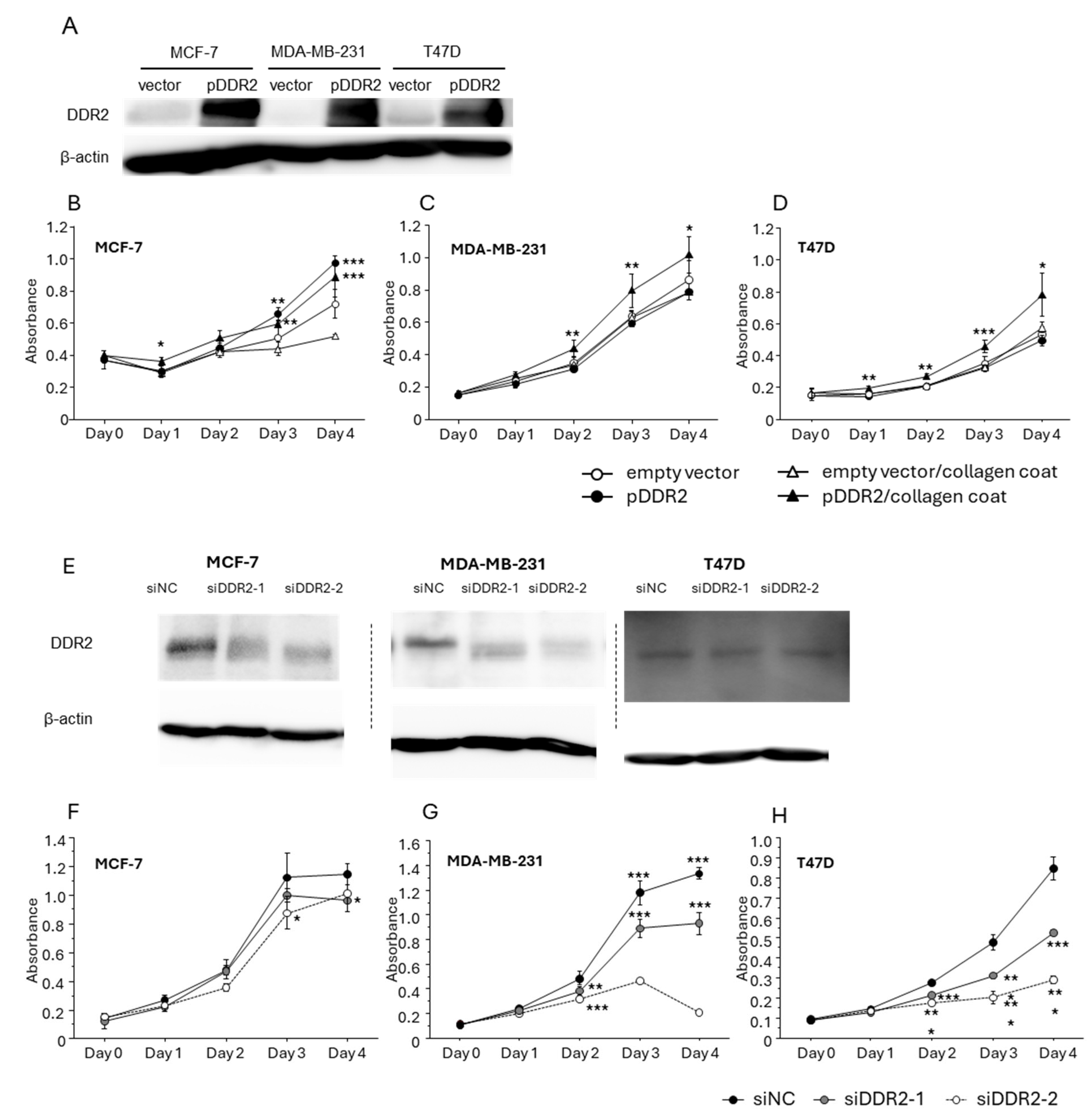 Cancers 16 04285 g003