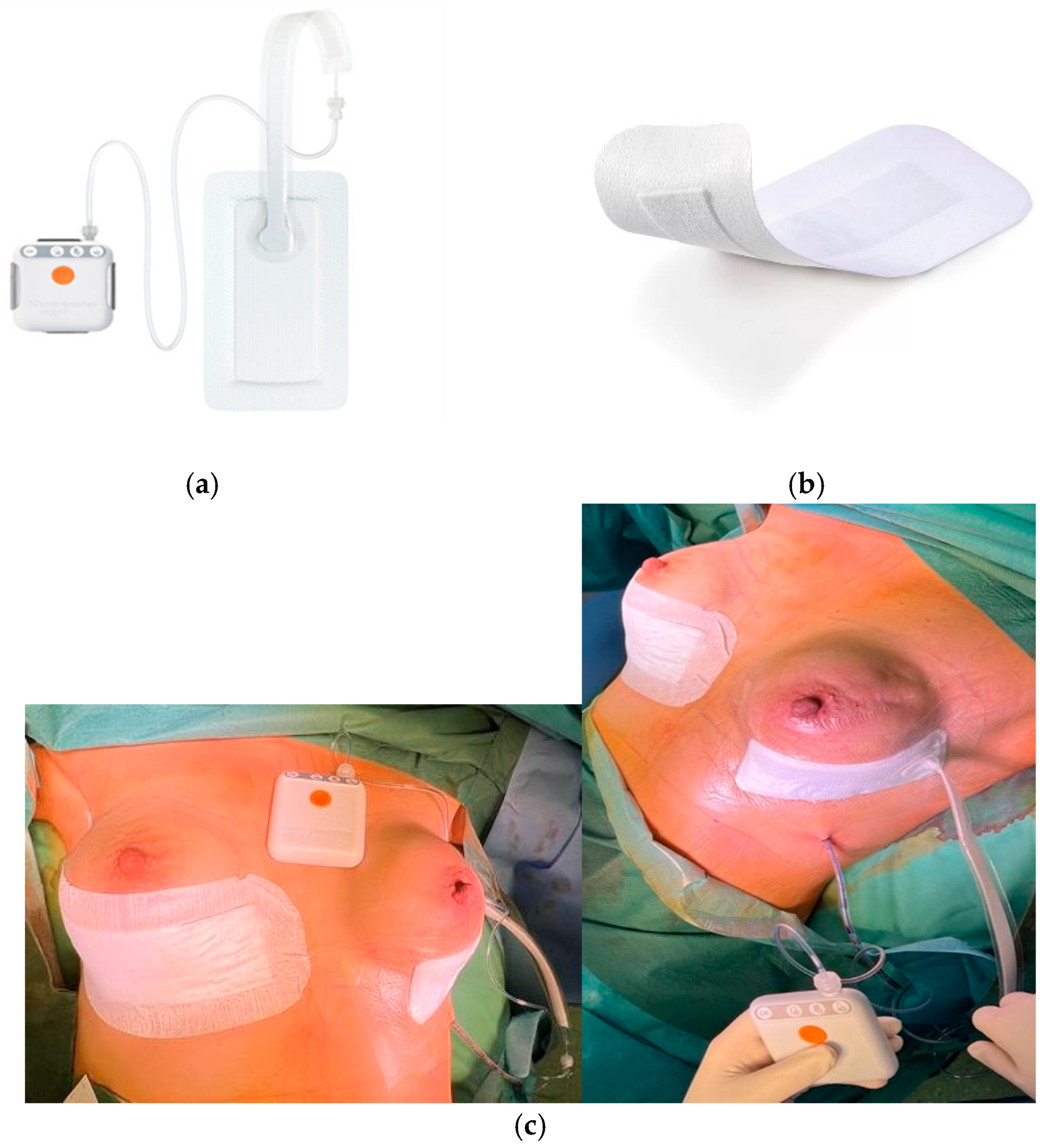 Cancers 17 00003 g001