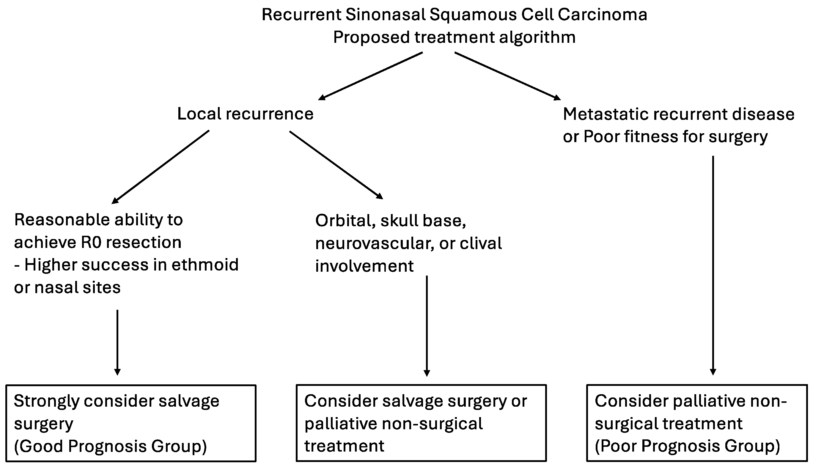 Cancers 17 00004 g001