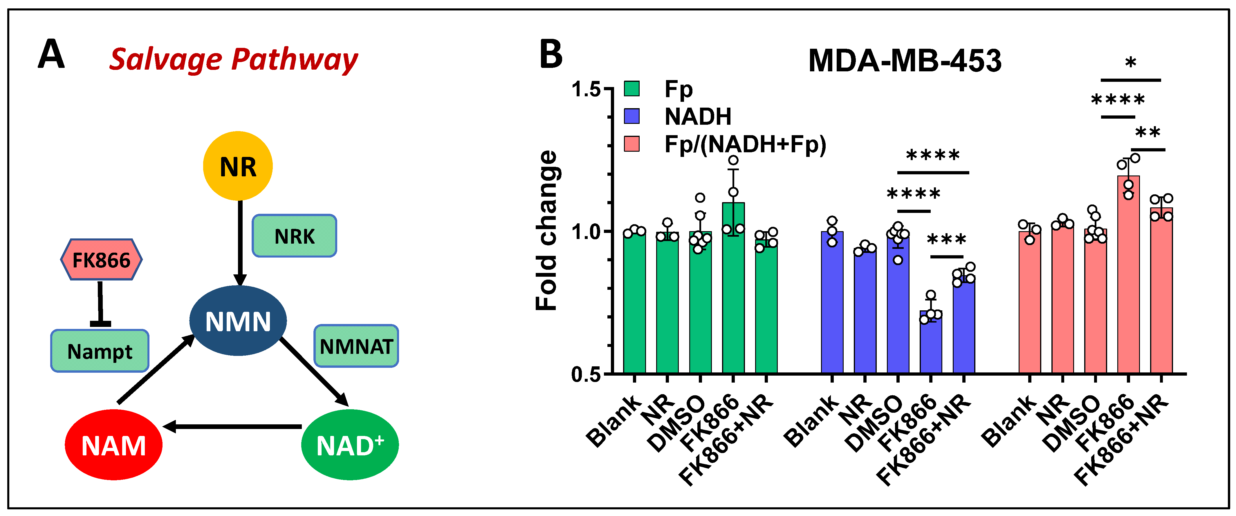Cancers 17 00007 g008