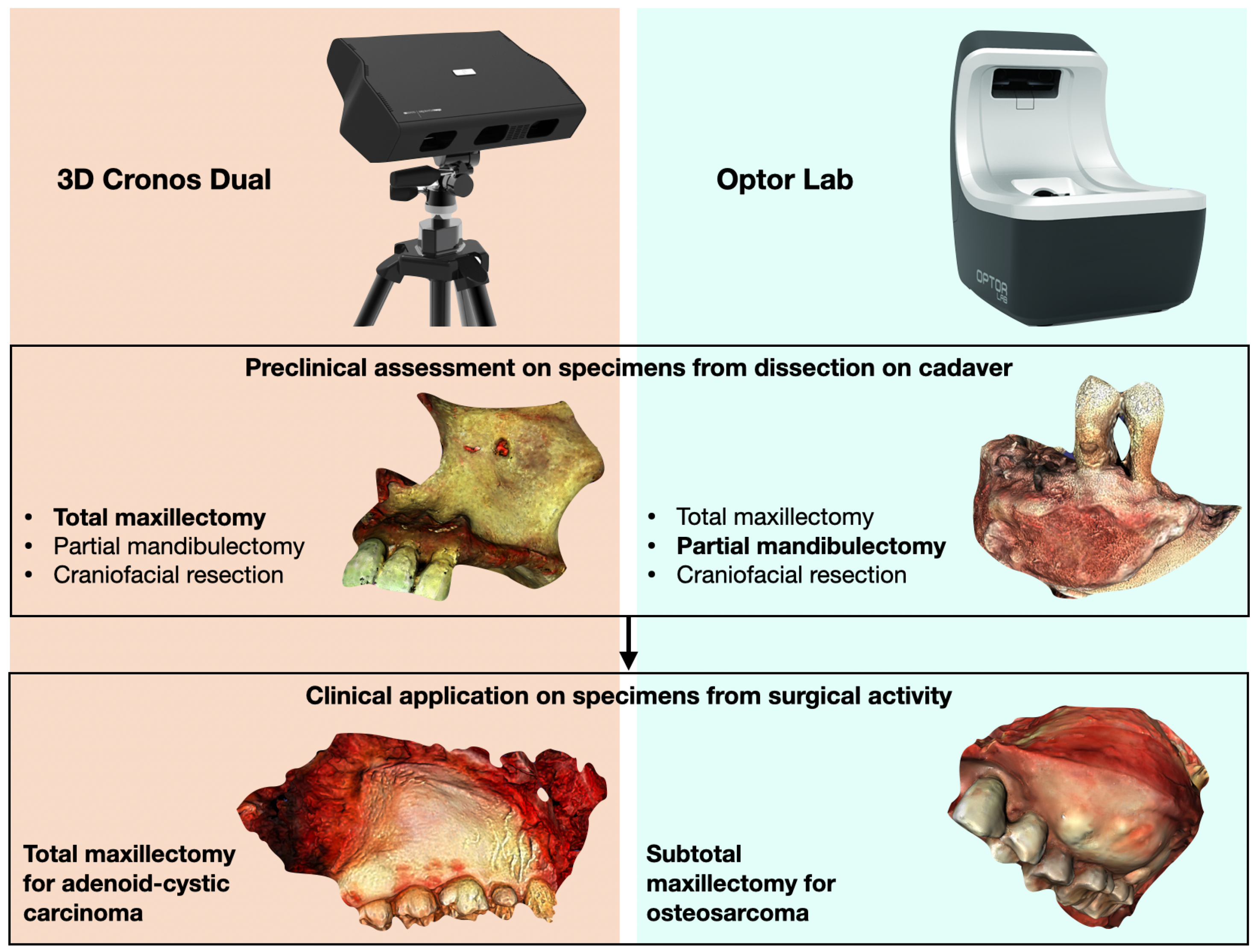 Cancers 17 00014 g001