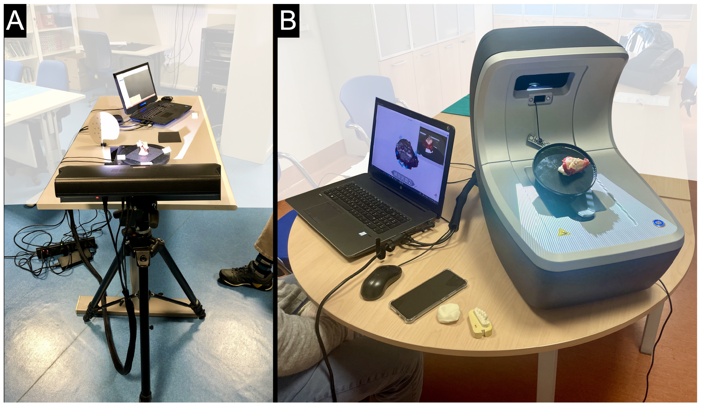 Cancers 17 00014 g002