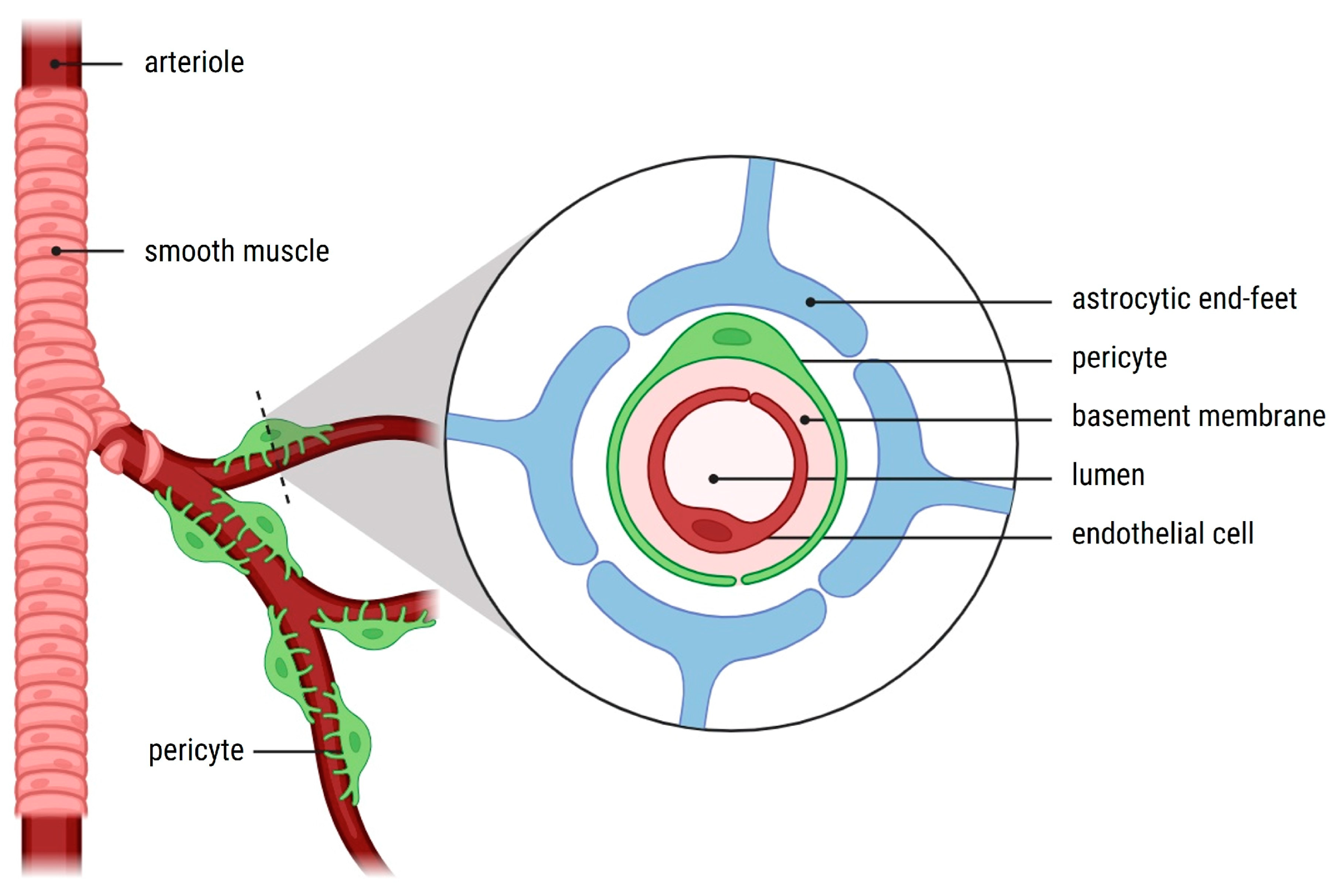 Cancers 17 00015 g001 Cancers 17 00015 g001