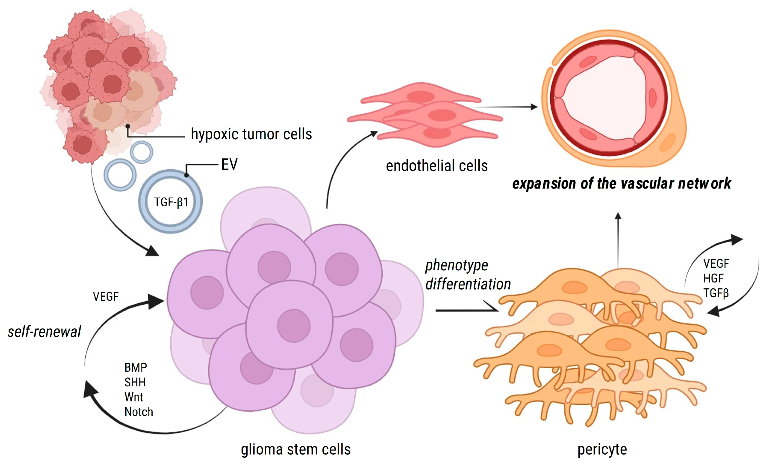 Cancers 17 00015 g002 Cancers 17 00015 g002