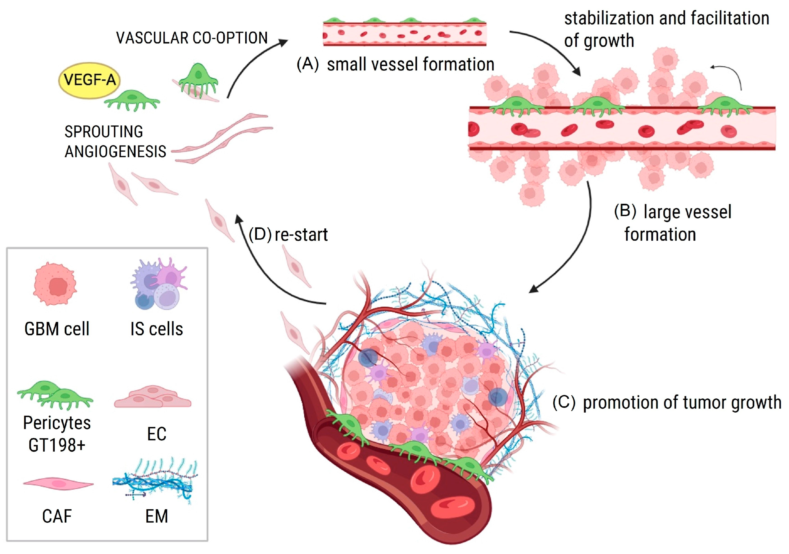 Cancers 17 00015 g003 Cancers 17 00015 g003
