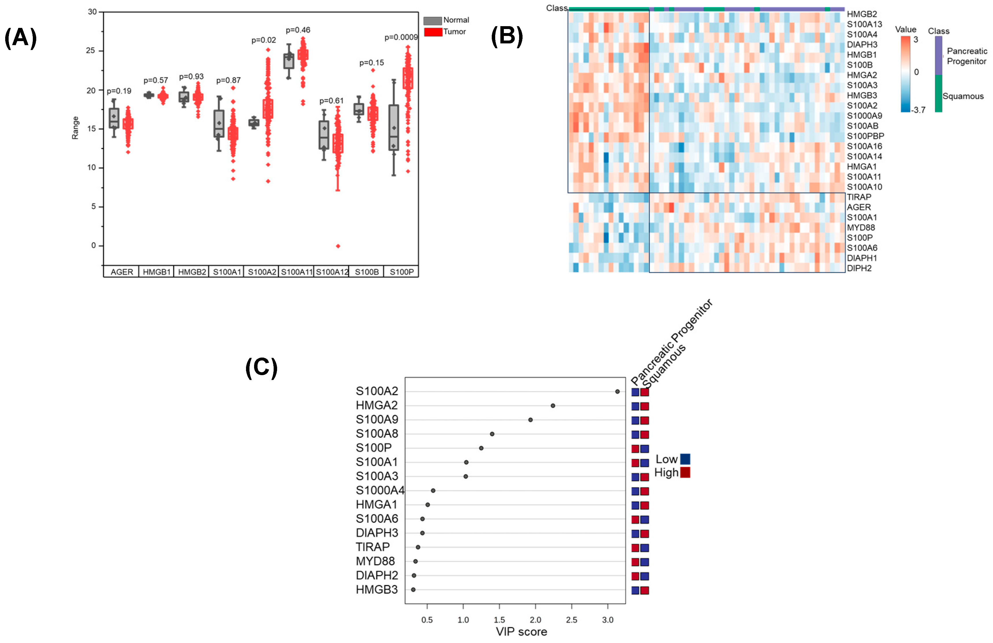 Cancers 17 00017 g002