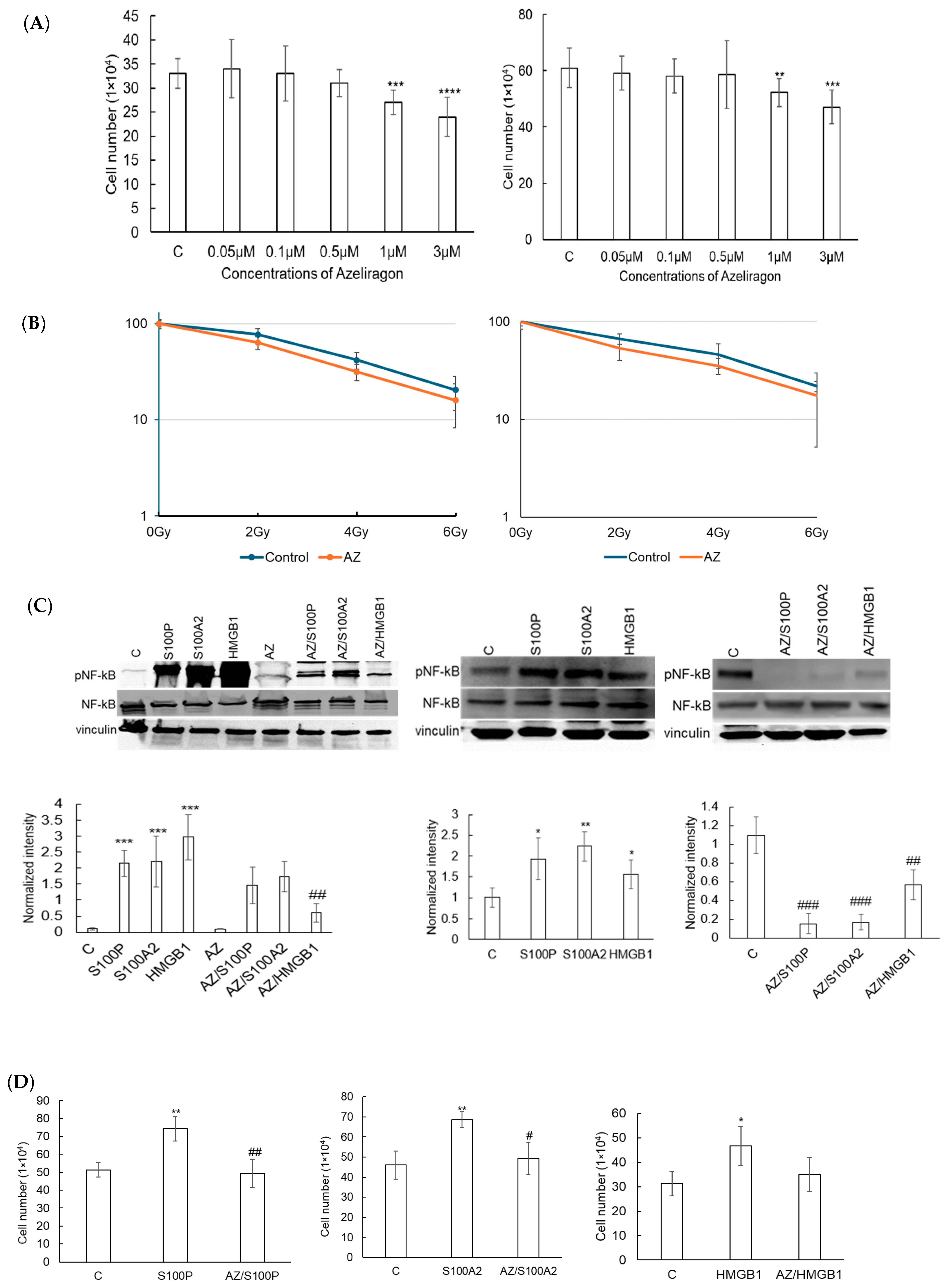 Cancers 17 00017 g004a