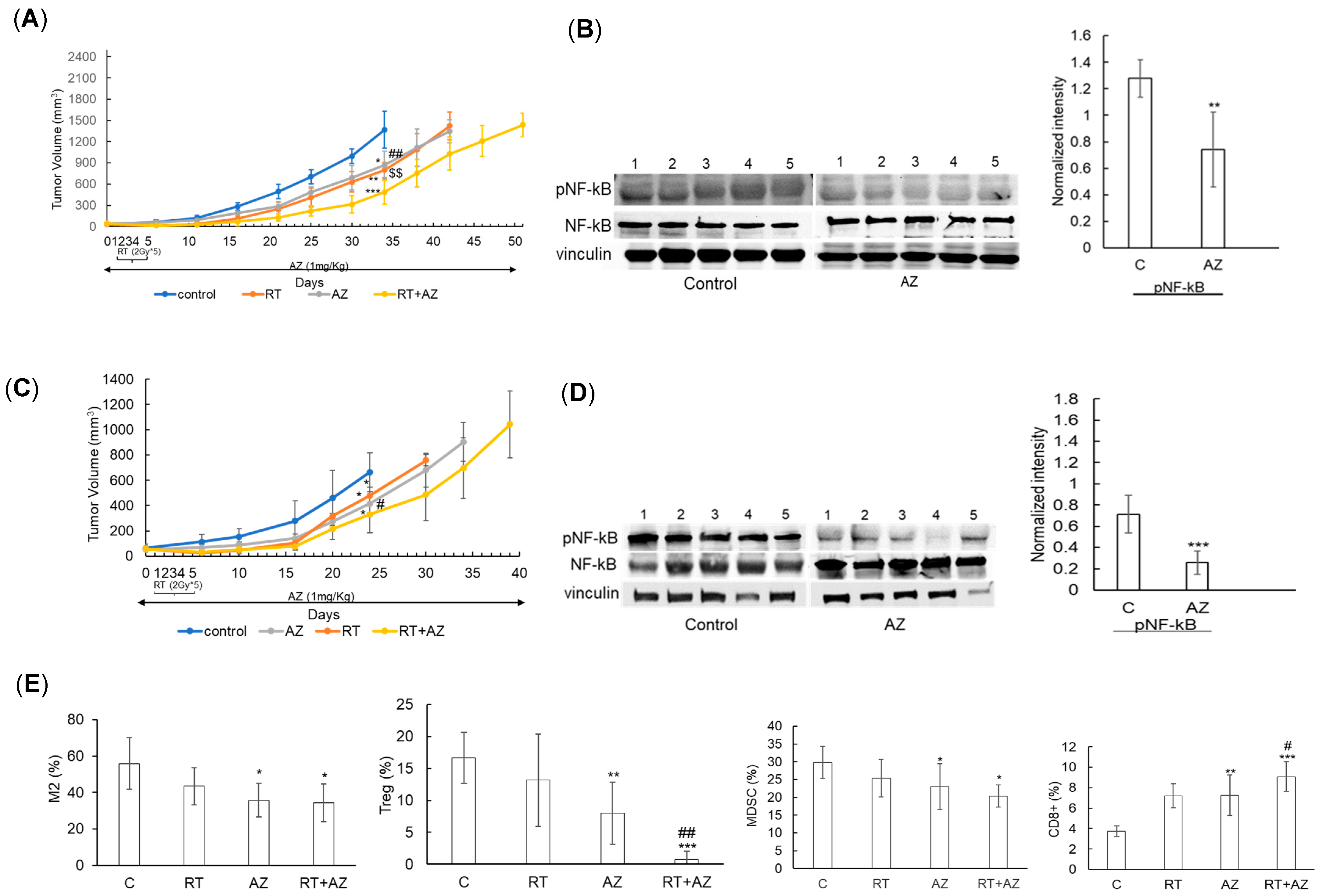 Cancers 17 00017 g005