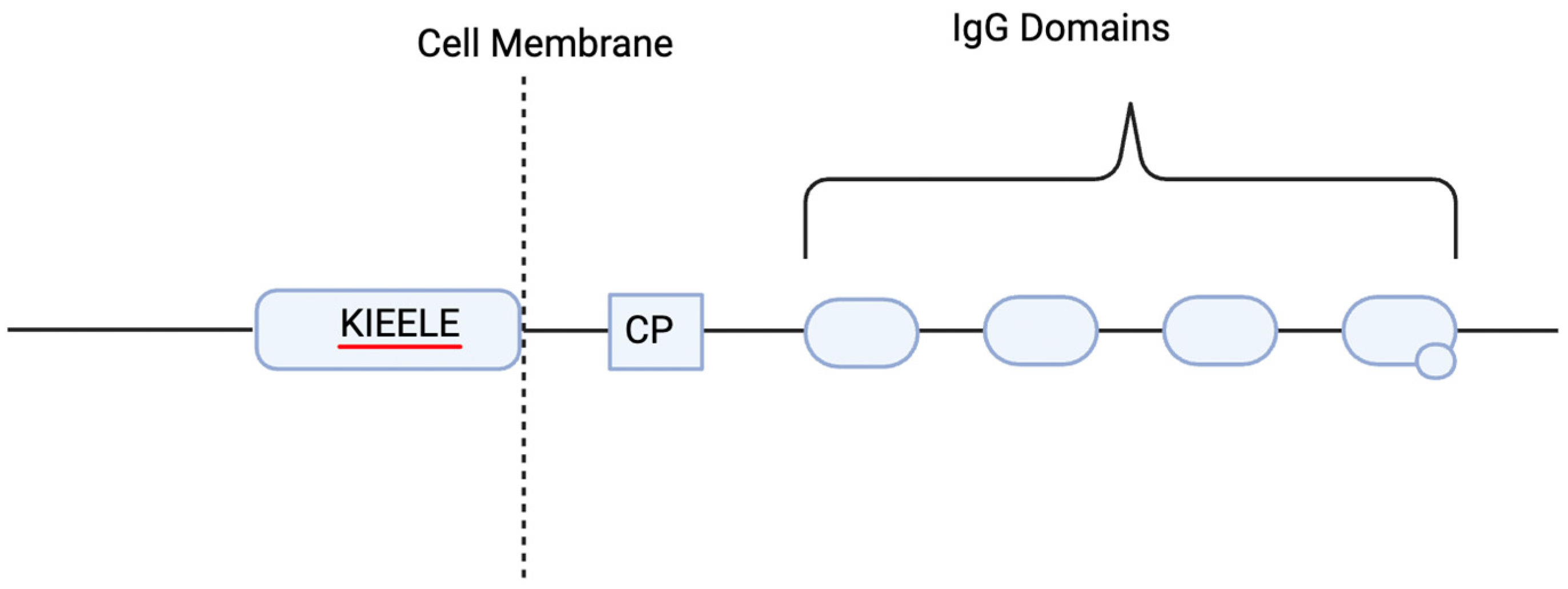 Cancers 17 00019 g002