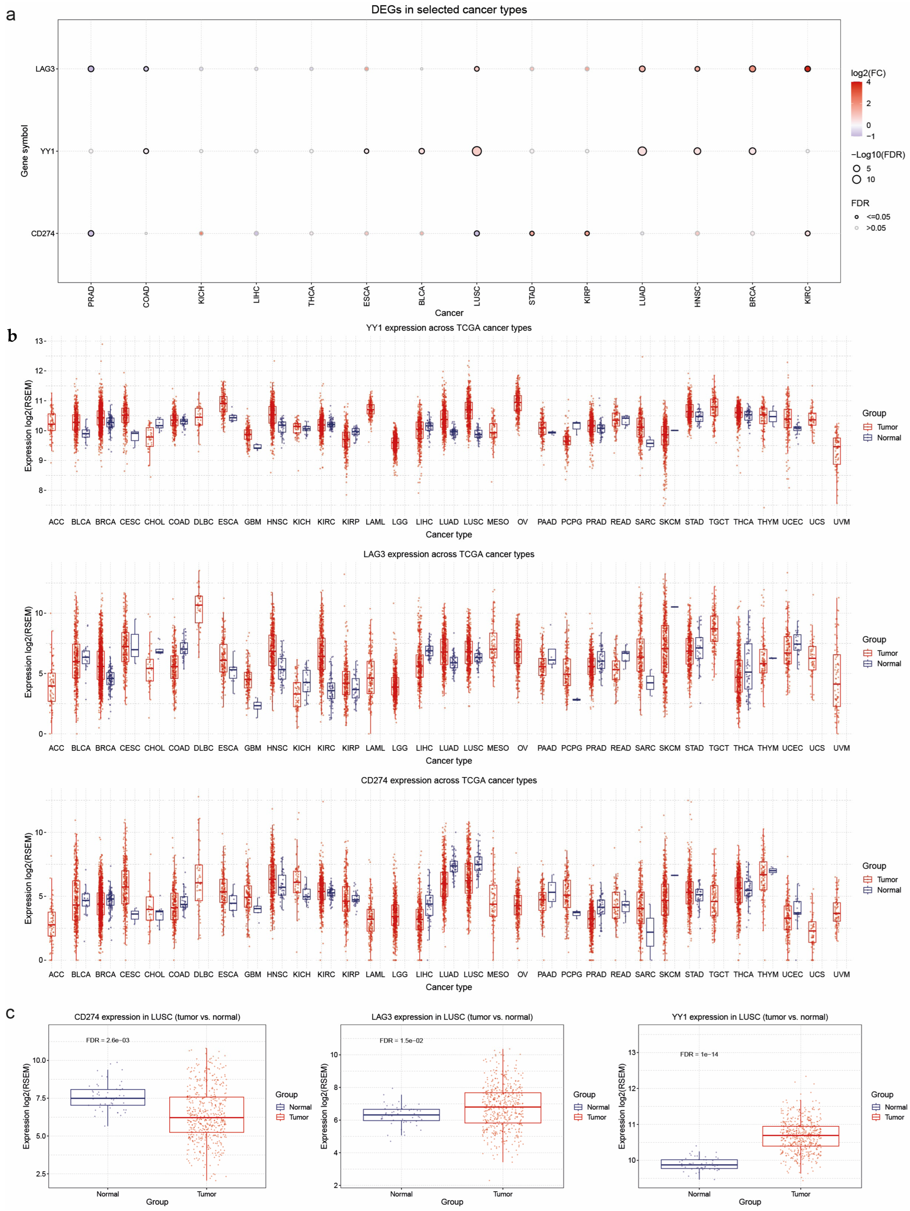Cancers 17 00019 g005