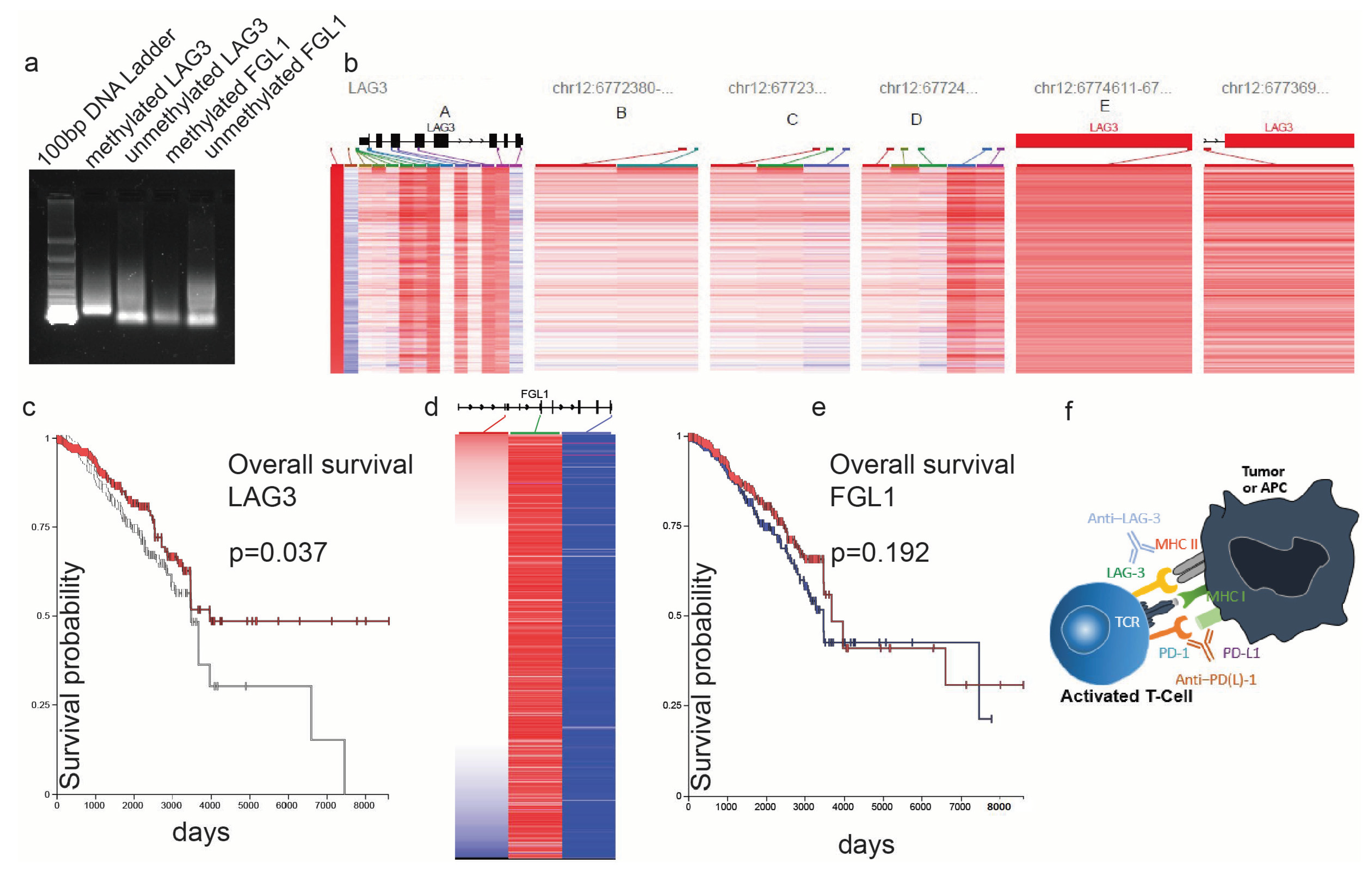 Cancers 17 00019 g009