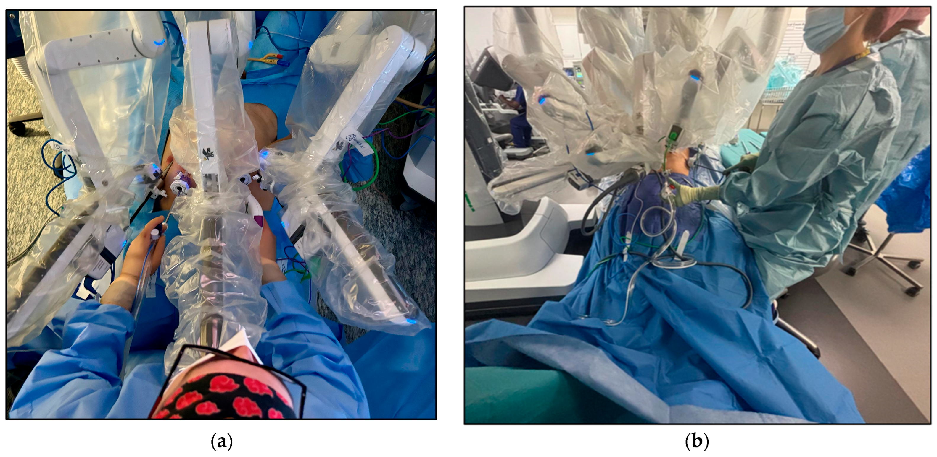 Cancers 17 00020 g002