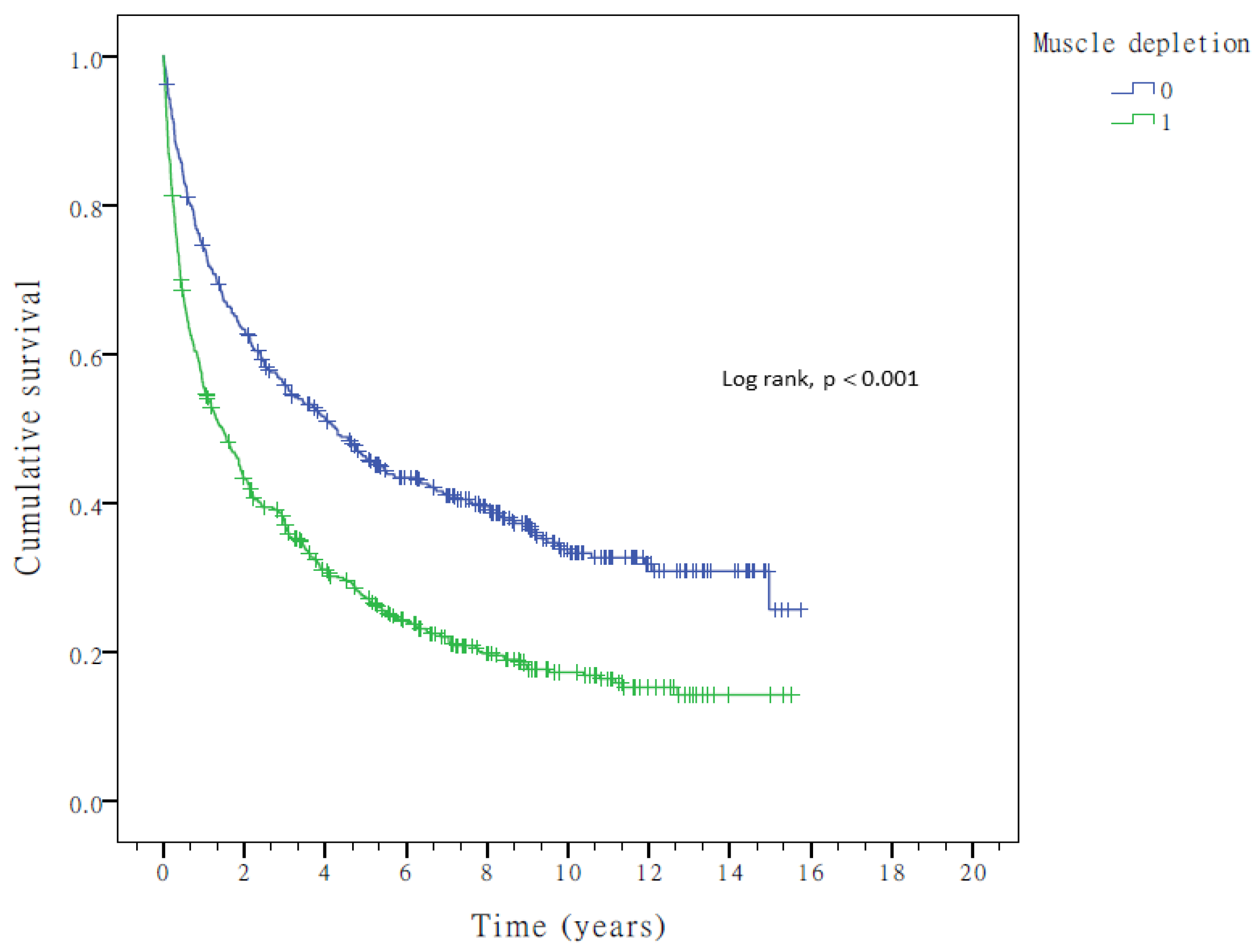 Cancers 17 00024 g001