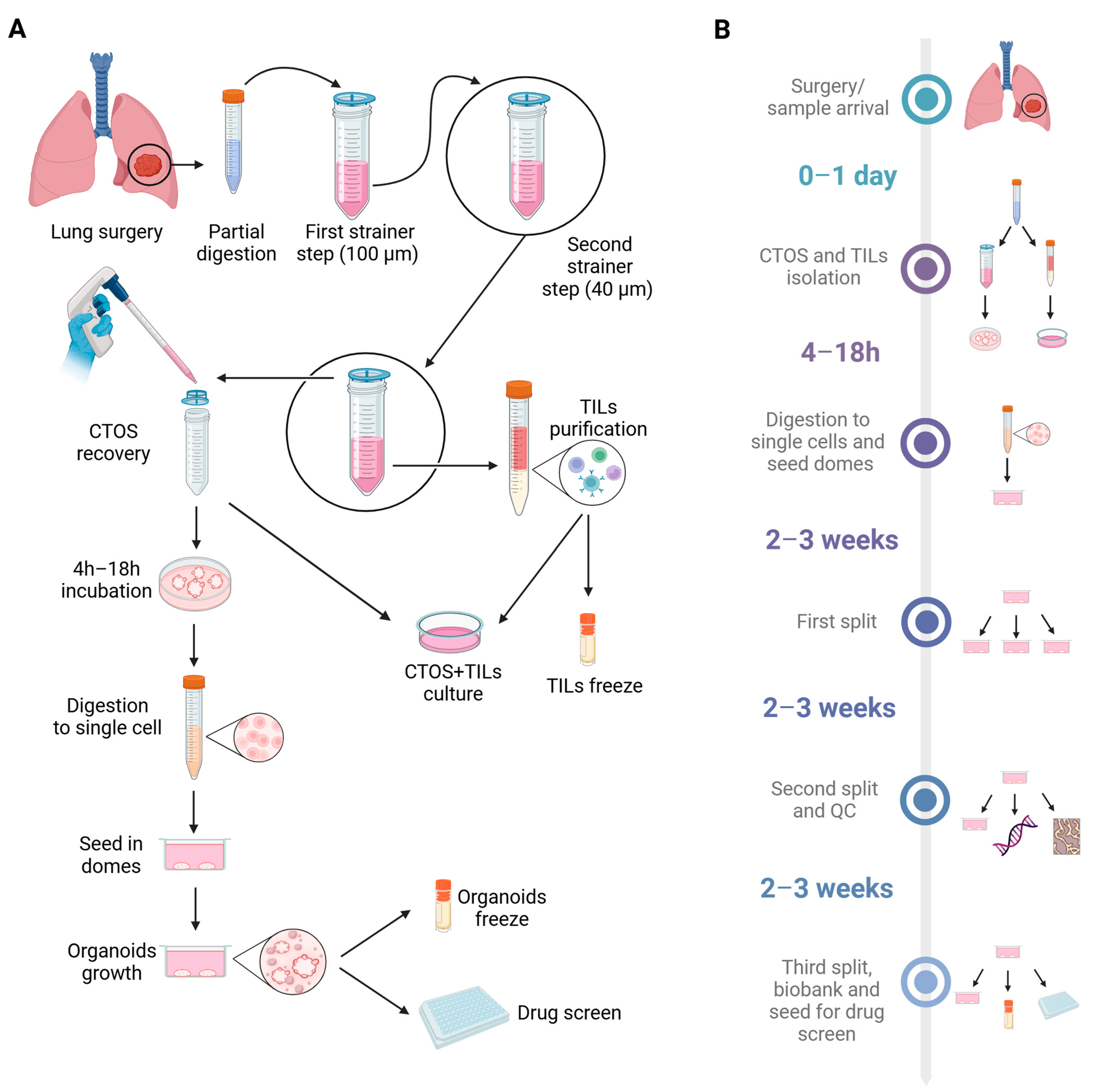 Cancers 17 00027 g001
